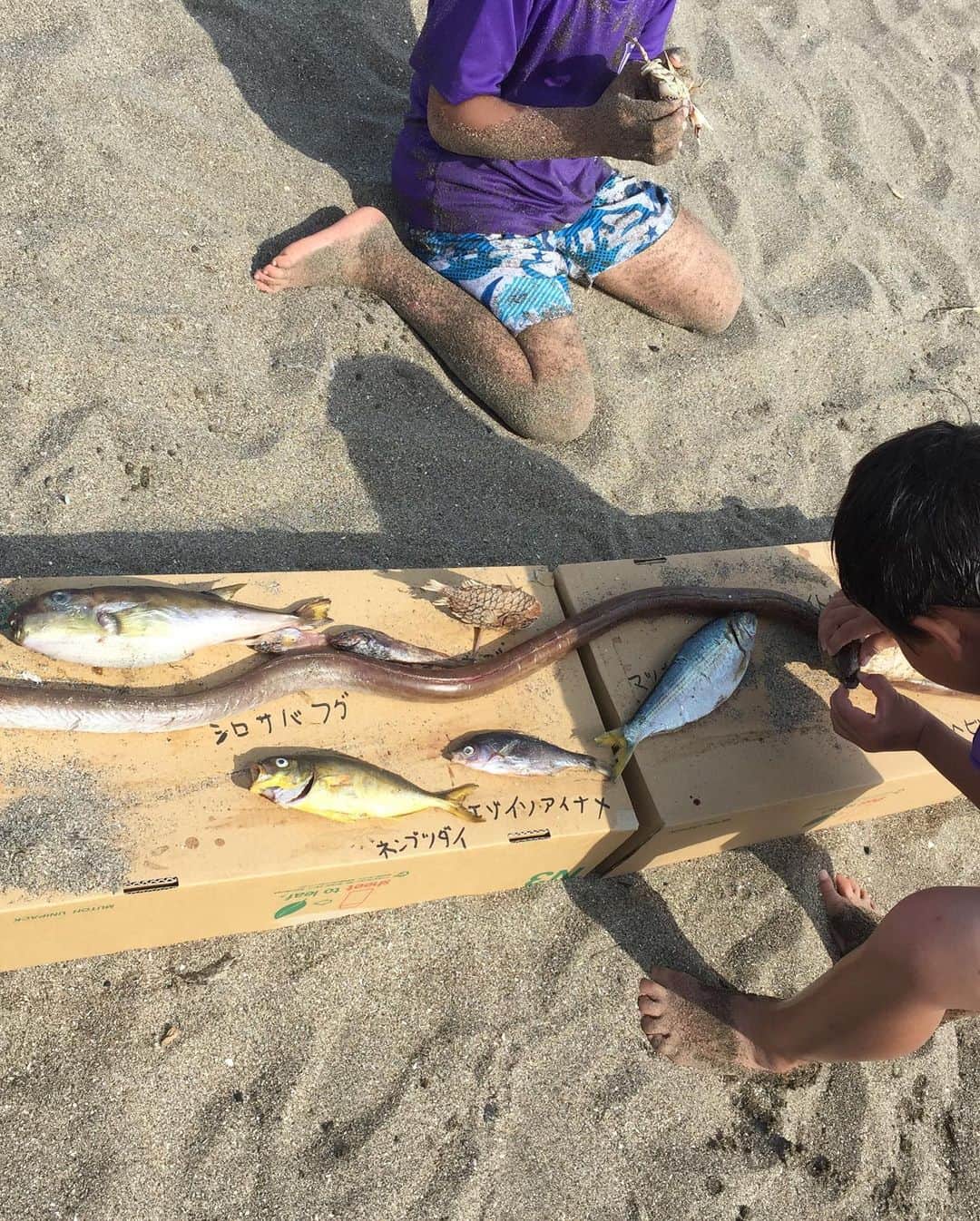 加藤ローサさんのインスタグラム写真 - (加藤ローサInstagram)「こんにちわ〜夏休み終わりました‼︎ 今日はホッとひといき、お風呂にきています♨️ 写真は三浦海岸で地引網に参加したときのものです。 #魚について学ぶ #砂のお城」9月3日 11時30分 - kato_rosa_