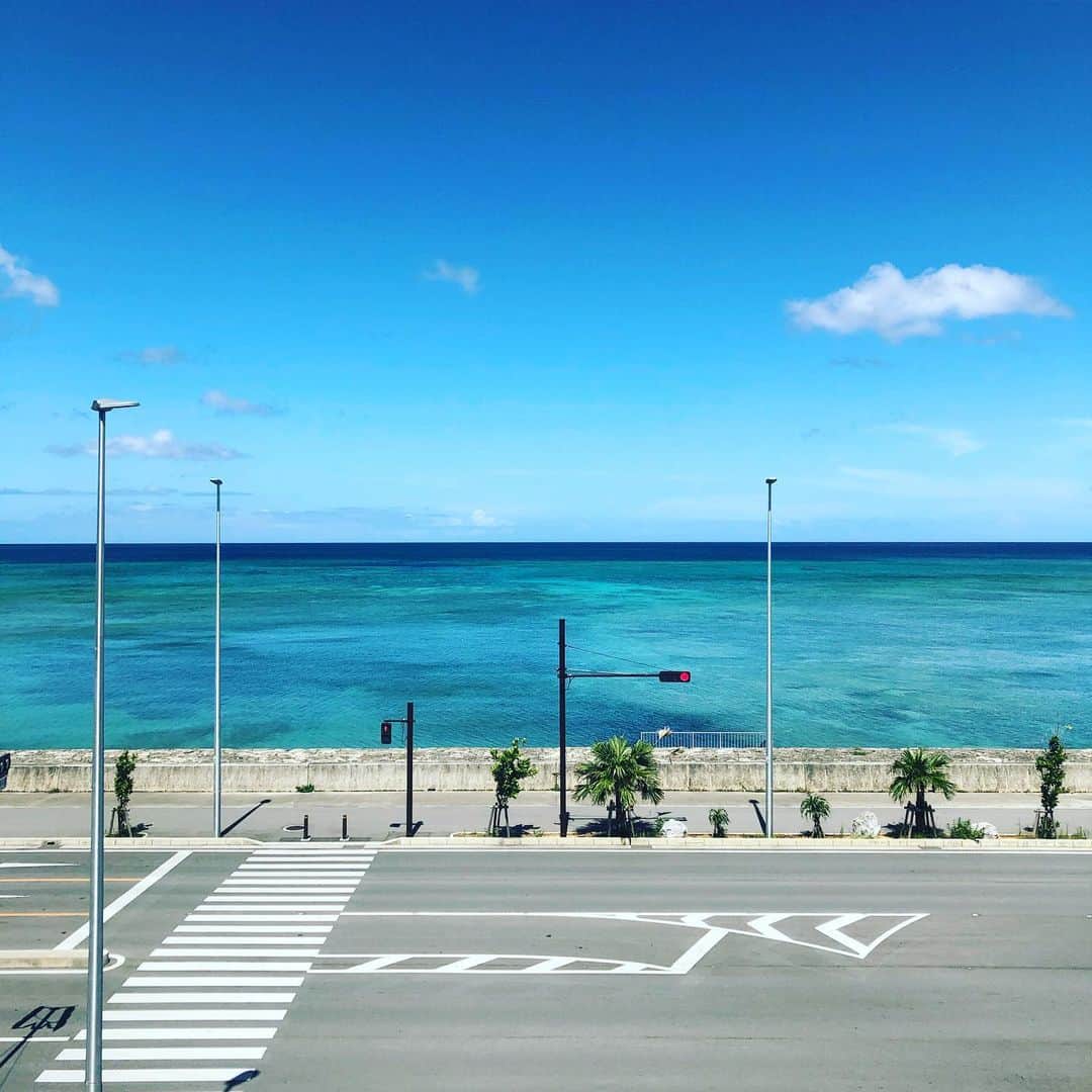 セソコマサユキのインスタグラム：「那覇に行くとき西海岸道路を選ぶと車窓はずっとこんな感じ。うぇーい。これから仕事だなんて信じられない。」