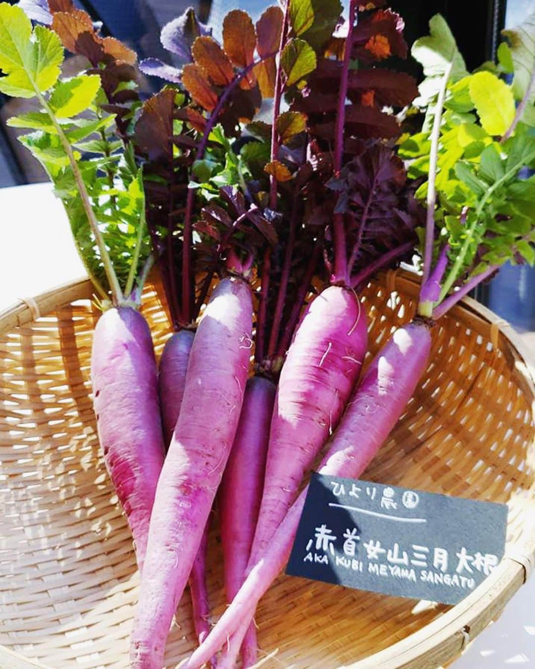 生活の木 メディカルハーブガーデン薬香草園【公式】のインスタグラム