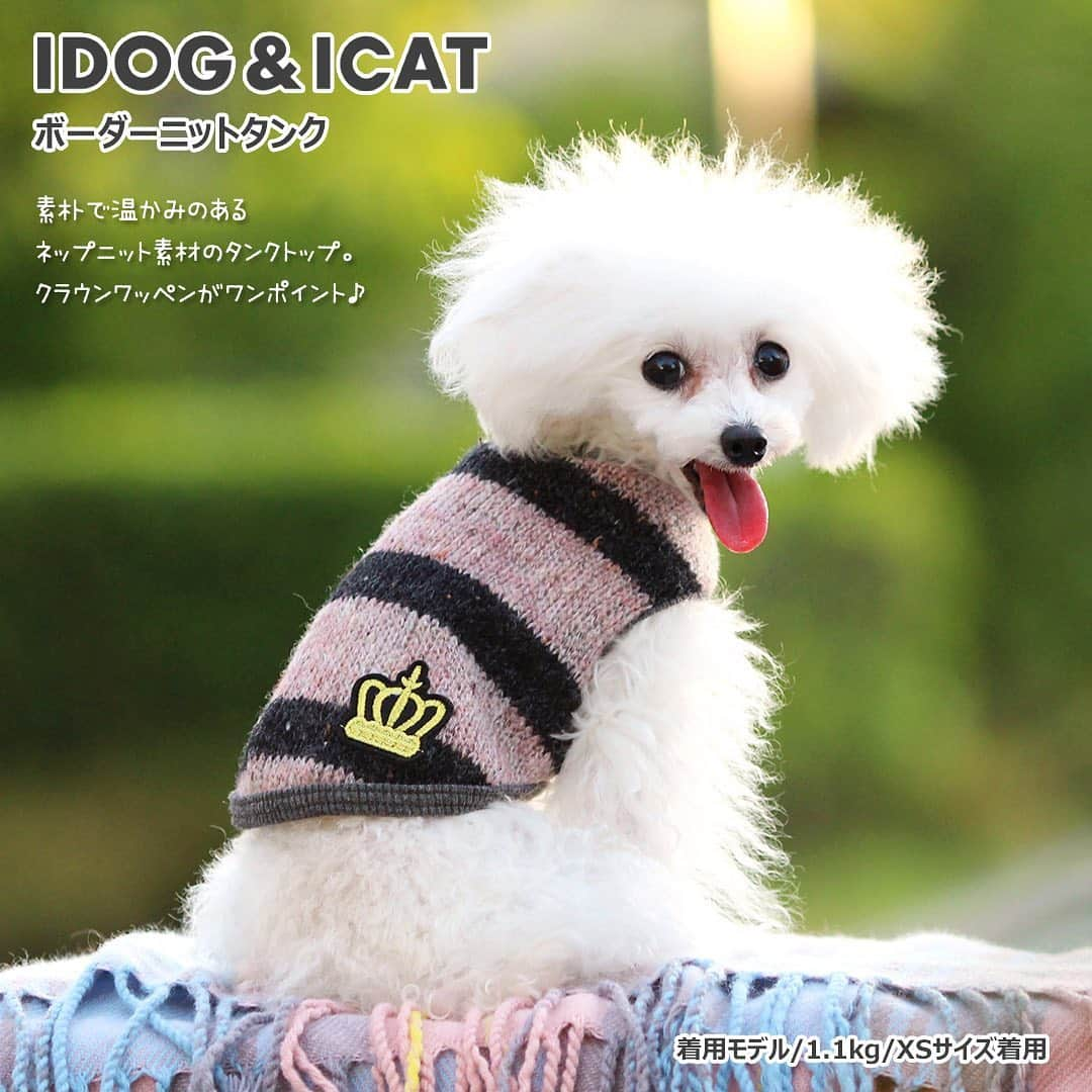 iDog&iCatさんのインスタグラム写真 - (iDog&iCatInstagram)「. 【1枚1080円～大人気プチプラウェア発売開始！】 . IDOG&ICATでは9/3より、販売開始しております♪ 楽天店舗URL：https://item.rakuten.co.jp/idog/c/0000000129/ . これから暑さも収まってくる頃です！ 秋口から着れるウェアをご用意しました♪ . ヘビロテ間違いなしのトレーナーからシンプルタンクまで！ 安くてカワイイウェアが4型UP♪ 在庫限りで販売終了になるので、お気に入りが見つかりましたら、お早目にどうぞ★ . イベントの詳細はプロフィールのURLからご確認ください♪ . . IDOG&ICAT公式LINEをお友達登録でお得な情報をゲットしよう！LINE ID『 ＠idogicat 』で検索♪ . #iDog #iDogiCat #iCat #ペット服 #ドッグウェア #新作 #プチプラ #犬服 #犬の服 #犬の服iDog #犬 #超小型犬 #小型犬 #中型犬  #キャットウェア #猫服 #猫の服 #猫の服iCat #猫#わんすたぐらむ #dog #にゃんすたぐらむ #cat #チワワ#トイプードル #ミニチュアダックスフンド#MIX犬」9月3日 11時53分 - idogicat