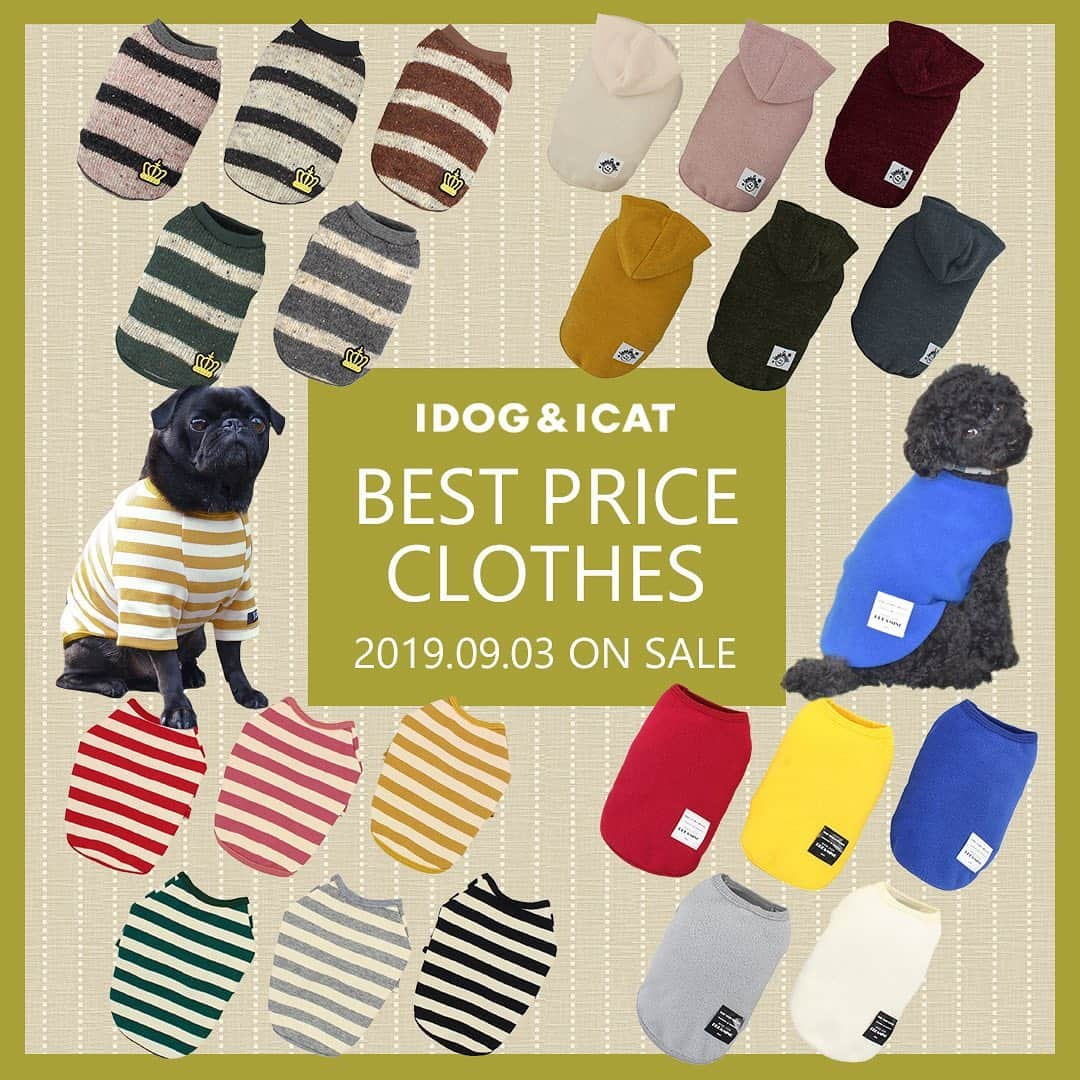 iDog&iCatさんのインスタグラム写真 - (iDog&iCatInstagram)「. 【1枚1080円～大人気プチプラウェア発売開始！】 . IDOG&ICATでは9/3より、販売開始しております♪ 楽天店舗URL：https://item.rakuten.co.jp/idog/c/0000000129/ . これから暑さも収まってくる頃です！ 秋口から着れるウェアをご用意しました♪ . ヘビロテ間違いなしのトレーナーからシンプルタンクまで！ 安くてカワイイウェアが4型UP♪ 在庫限りで販売終了になるので、お気に入りが見つかりましたら、お早目にどうぞ★ . イベントの詳細はプロフィールのURLからご確認ください♪ . . IDOG&ICAT公式LINEをお友達登録でお得な情報をゲットしよう！LINE ID『 ＠idogicat 』で検索♪ . #iDog #iDogiCat #iCat #ペット服 #ドッグウェア #新作 #プチプラ #犬服 #犬の服 #犬の服iDog #犬 #超小型犬 #小型犬 #中型犬  #キャットウェア #猫服 #猫の服 #猫の服iCat #猫#わんすたぐらむ #dog #にゃんすたぐらむ #cat #チワワ#トイプードル #ミニチュアダックスフンド#MIX犬」9月3日 11時53分 - idogicat