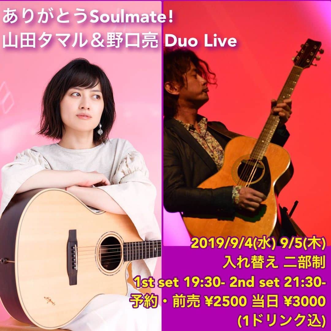 タマルのグルメインスタ