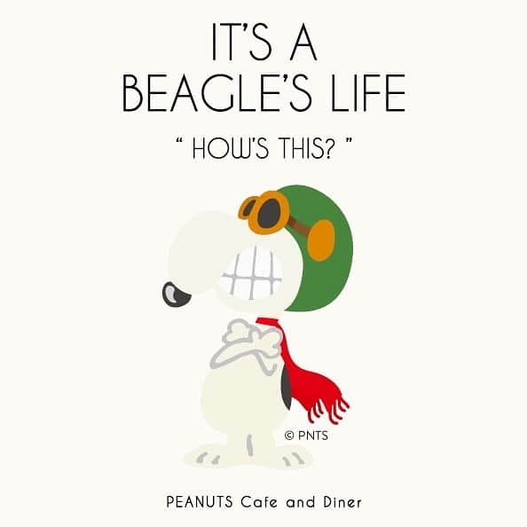 ピーナッツ カフェのグルメインスタ