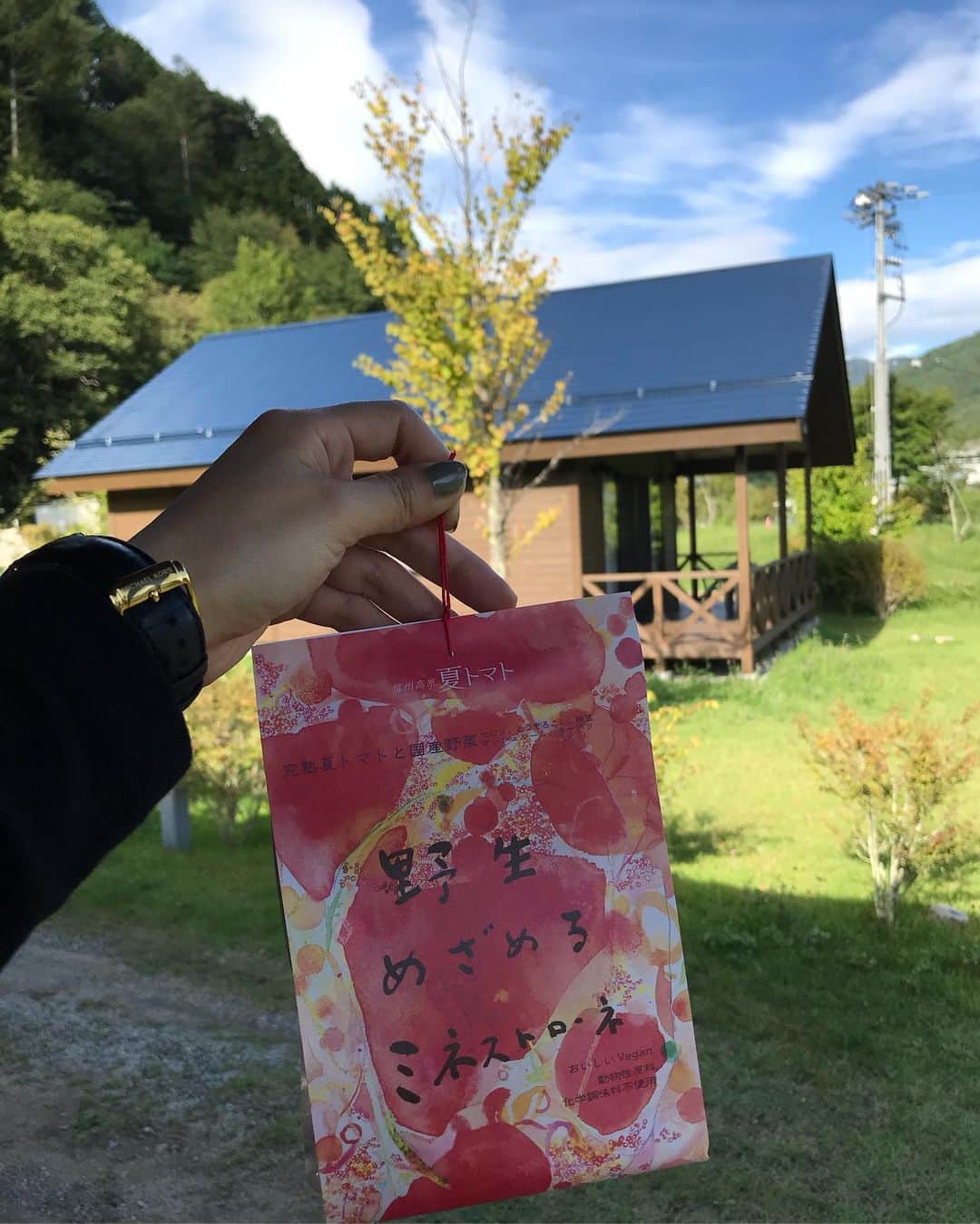 IZUMIさんのインスタグラム写真 - (IZUMIInstagram)「長野県平谷村に 初めて訪れましたが、 日本で3番目に人口が少ない小さな村🌳 しかし、観光では年間30万人が訪れる人気スポットなのです。 大自然の中、 みんなでBBQ🥩をしたり、 トマト農園🍅をやられている加藤さんに トマト狩りをやらせていただいたり。 野菜を作られている方の顔を知りながら 食べるトマトの味は、 もうそれは格別なものでした。 本当に甘くてぷりっぷり。 みずみずしくて、 こんなに手が止まらなくなる美味しいトマトを食べたのは初めてでした。 これは本当にみんなに食べてほしい。 このトマトを使ったミネストローネもいただいたので、 食べるのが本当にたのしみ！！🍅✨ つづく。。♡ #長野県#平谷村  #夏トマト#トマト農園」9月3日 12時30分 - izuuumixxx
