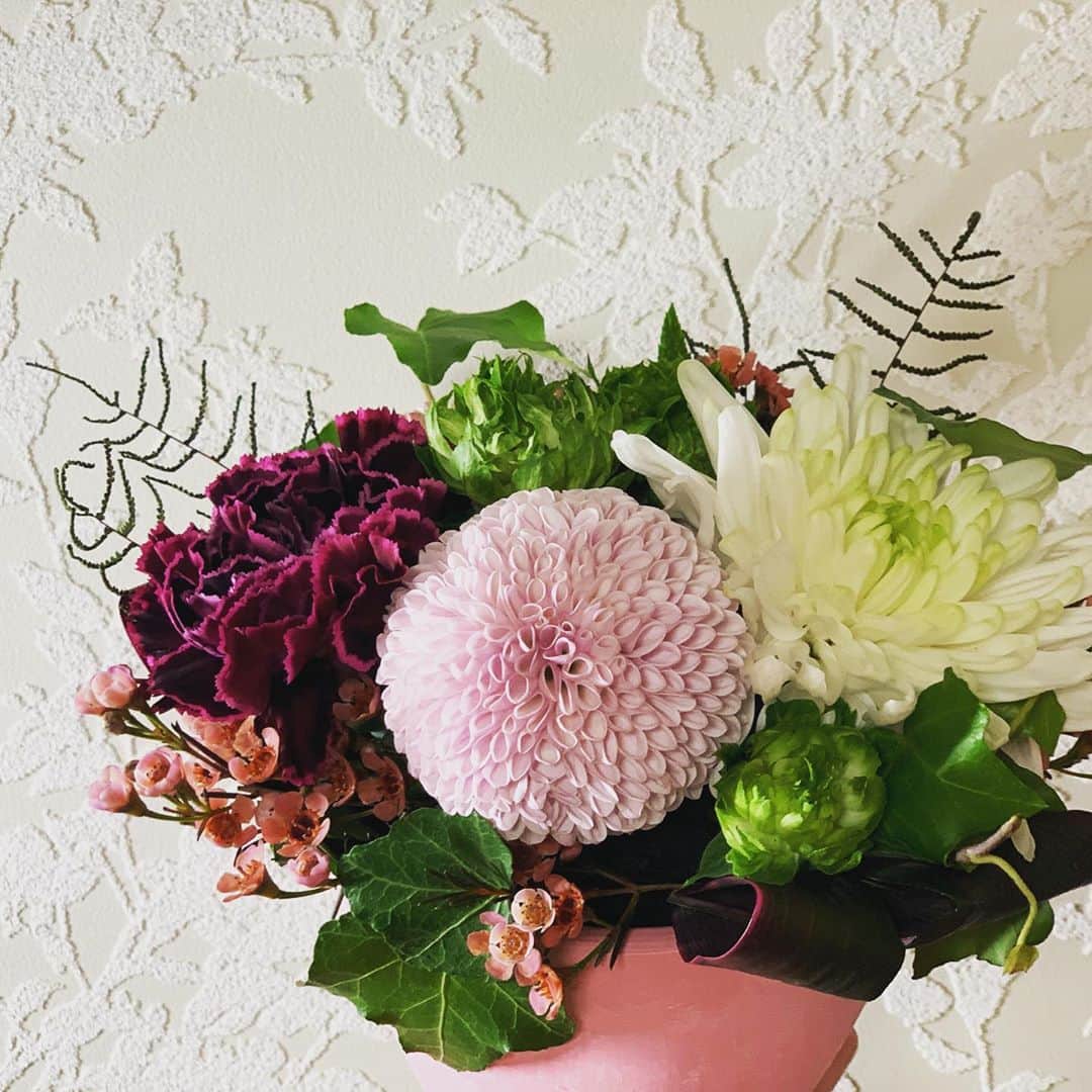 佐藤綾子さんのインスタグラム写真 - (佐藤綾子Instagram)「🏵清廉🌸﻿ ﻿ ﻿ 9月9日は #重陽の節句 。﻿ 別名"菊の節句"！﻿ ﻿ 県庁で販売されていた﻿ 菊のアレンジメントを買ってきました💓﻿ かわいい…安らぐ…☺️﻿ ﻿ 菊というとどうしても仏花のイメージがつきものですが、﻿ こんなモダンでかわいいフォルムの菊は﻿ とってもキュートですよね☺️﻿ ディスバッドマムという菊で、﻿ 洋風アレンジや結婚式などのお祝い事の﻿ ヘアアレンジにもよく使われているそうです。﻿ たまに見かけることはあっても﻿ 菊だとは思わなんだ🤔💓﻿ ﻿ 長崎の菊は産出額全国5位！﻿ 地元でも消費しましょう！﻿ ﻿ #花 #菊 #キク #ディスバッドマム #ディスバッド #フラワーアレンジメント﻿ #ブルフラワー #新戸町﻿ #長崎 #nagasaki #ncc #長崎文化放送 #佐藤綾子 #アナウンサー #取材日記」9月3日 23時36分 - satoaya_ncc