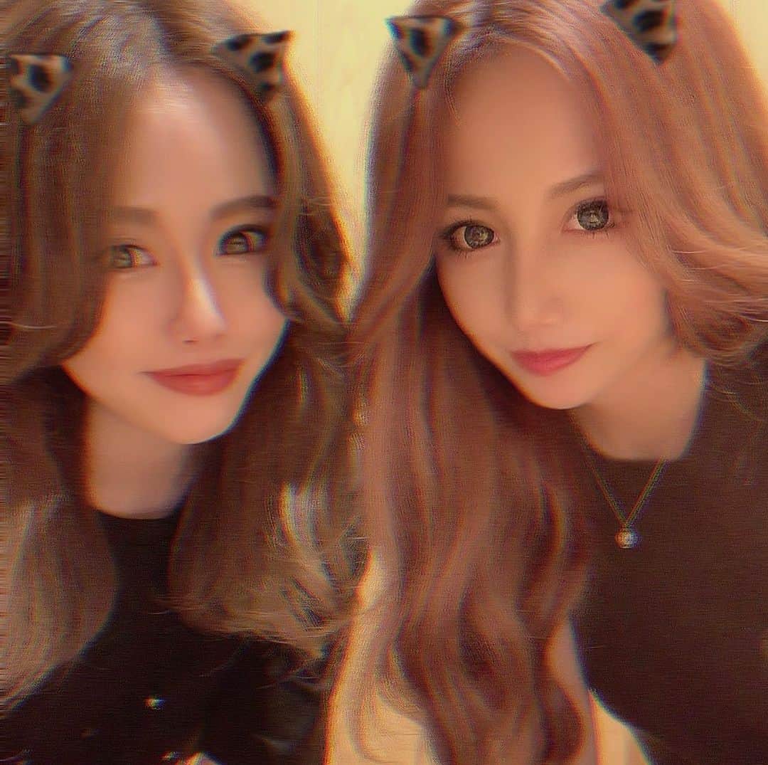 ひよこ先輩のグルメインスタ