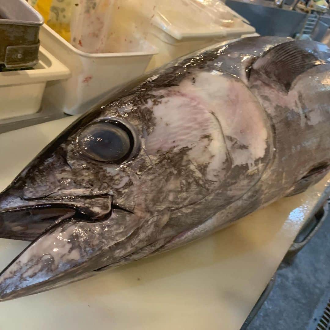 魚壱商店 天王寺店のグルメインスタ