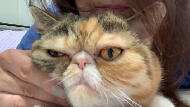 Tinaのインスタグラム：「We are cuddling and I think she likes it! #NoAirplaneEars 👏🏻😂」