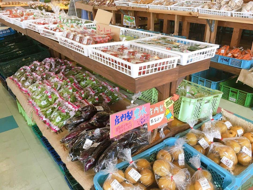 藤村晃輝さんのインスタグラム写真 - (藤村晃輝Instagram)「今年2月にオープンした川の駅宗麟大橋店を調査‼️県内各地から集まった野菜に果物にお肉に魚に、カフェまで併設🍦✨個人的に大好きなサンチーパンも販売していました😄 安い・美味しい・新鮮…魅力が詰まりすぎている…川の駅おそるべし🤔 #川の駅 #川の駅宗麟大橋店  #道の駅は国土交通省 #里の駅は県 #川の駅は個人経営 #ふむふむ  #テレビ大分 #ゆーわくワイド  #藤村晃輝のコーキ心」9月3日 22時44分 - fujimura_koki_tos