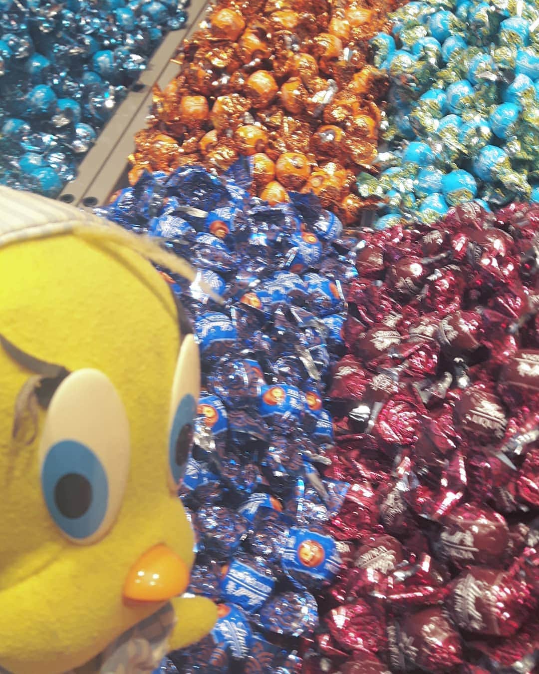 Little Yellow Birdさんのインスタグラム写真 - (Little Yellow BirdInstagram)「A chocolate ball pit!! Let's dive in, guys!! #honeygroveteapartytuesday #littleyellowbird #tweety #tweetykweelapis #adventures #yellow #bird #tuesday #chocolate #lindt #lindor #chocolade #chocolates #chocolateballs #chocoladeballen #ballenbak #ballpit #ballpool #sweet #somanyflavors #stuffedanimalsofinstagram #plushiesofinstagram」9月3日 22時47分 - tweetykweelapis