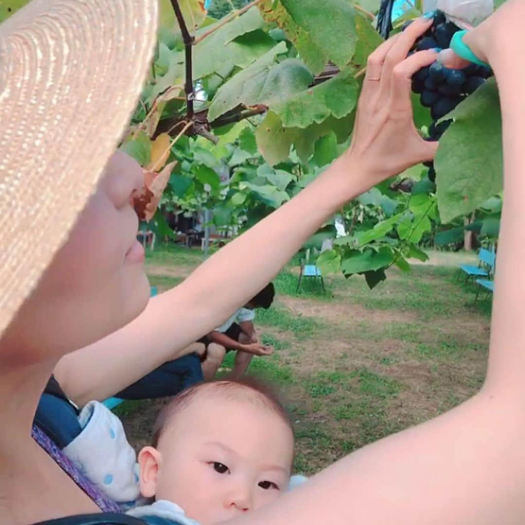 空さやかさんのインスタグラム写真 - (空さやかInstagram)「今年の夏は短かったなー あっとゆーまに9月💧 * 愛生の映画館デビュー、ディズニーオンアイス、尊の家プールデビーからの花火大会、琵琶湖遊泳、お祭り、ぶどう狩り、手もち花火。尊にはじめての経験たくさんさせてあげられたかな。 * 帰省できず旅行できずですこし寂しかったけど子どもたちに夏を楽しんでもらいたくてできる限り色んなところへ連れてった今夏😌 * 春夏はだれも風邪ひかず楽しめたから、秋からも体調管理しながらいろんな経験させてあげたいな😁」9月3日 23時00分 - sky_sayaka