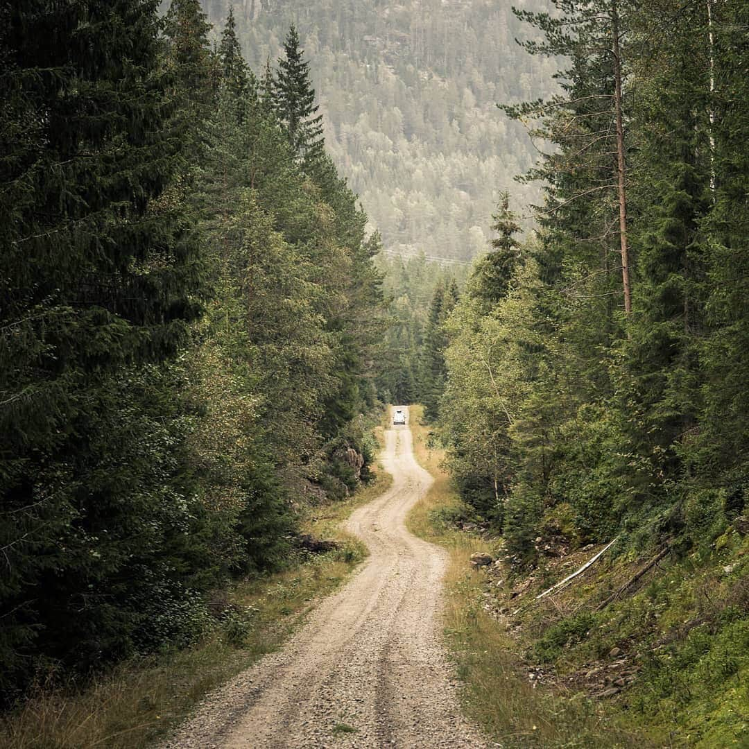 Ricoh Imagingさんのインスタグラム写真 - (Ricoh ImagingInstagram)「A gorgeous scenic forest road captured by our #teampentax fan @telemarkphotography with his #pentaxk1.」9月3日 22時57分 - ricohpentax