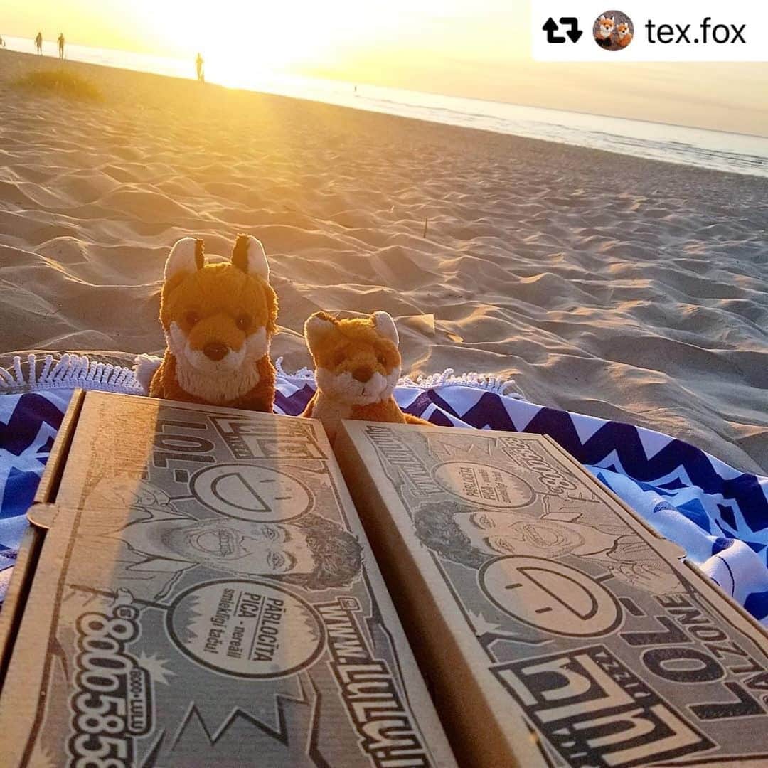 Pica LuLūさんのインスタグラム写真 - (Pica LuLūInstagram)「#Repost @tex.fox with @repostsaveapp · · · 🦊😋Whats in the box?🍕Free pizza is always a good idea! Chicken calzone x2 #BeachFox」9月3日 16時10分 - lulu