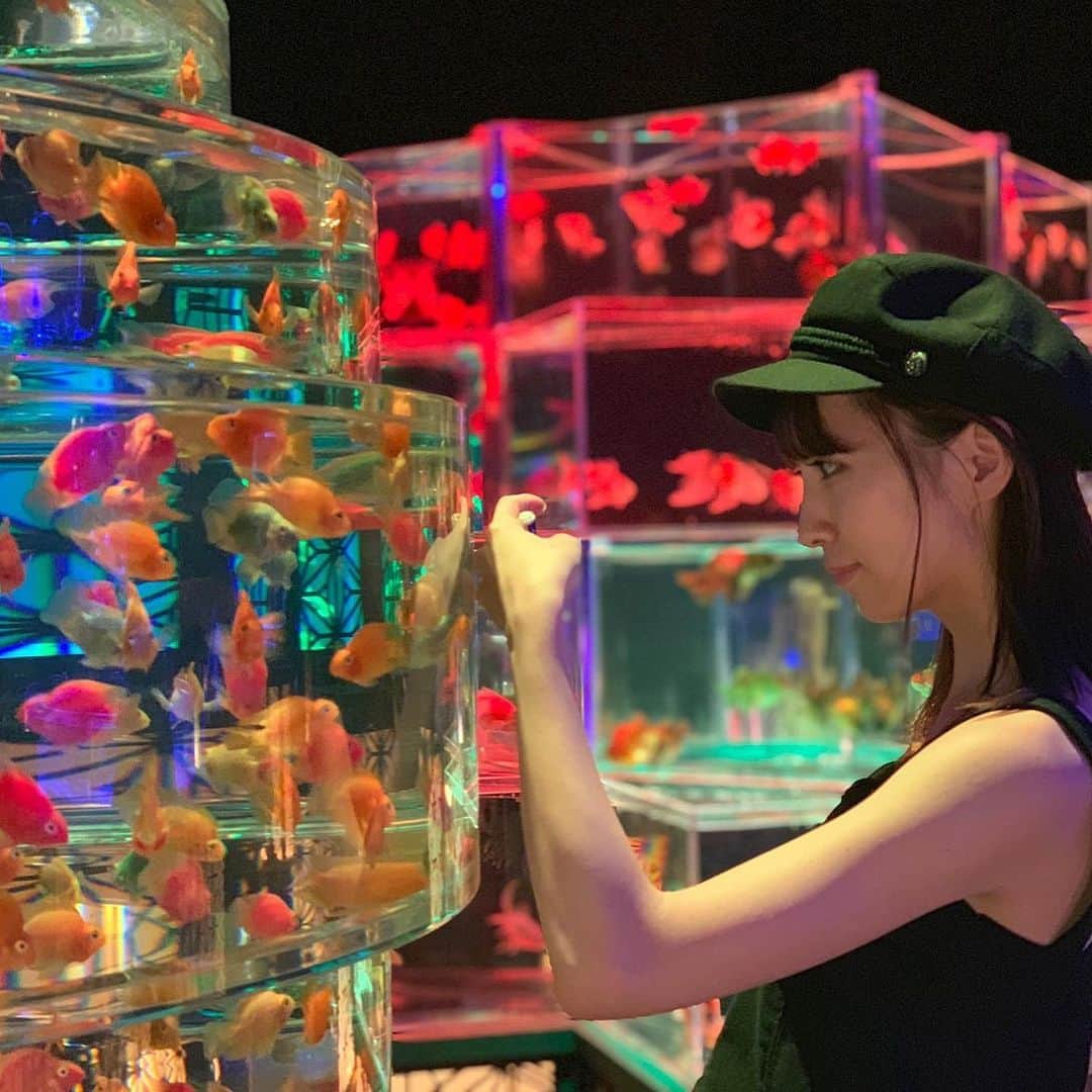 のインスタグラム：「ちょっと前に行ったきんぎょ、 今年で最後みたい🎐 ピンポンパールがやっぱりかわいい♡ 23日までだからもういっかいくらい いきたいなぁ( ˶˙ᵕ˙˶ ) . . #アートアクアリウム #金魚 #日本橋三井ホール #instagood #aquarium」