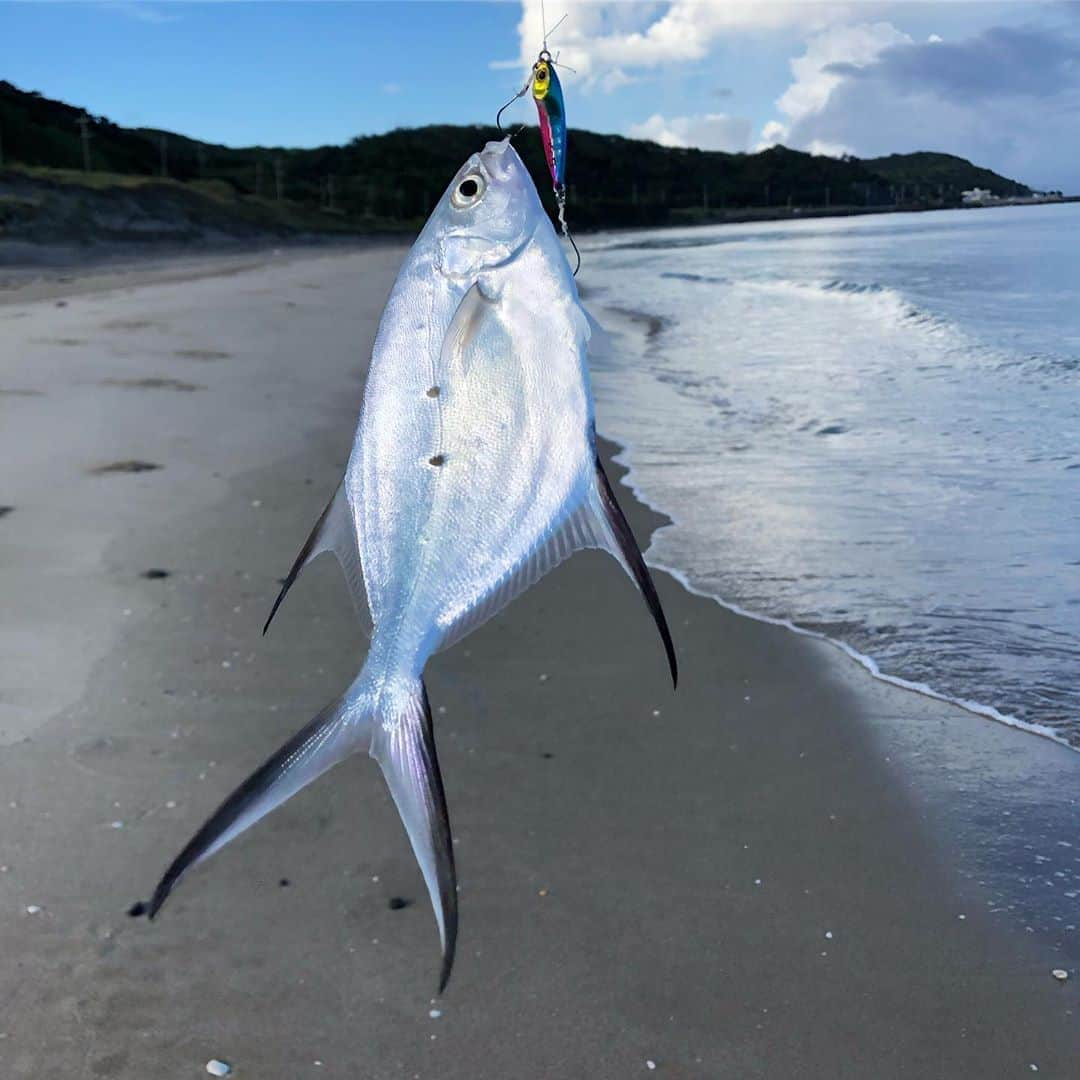 Isseki Nagaeさんのインスタグラム写真 - (Isseki NagaeInstagram)「Small spotted dart/コバンアジ  #smallspotteddart dart #fishinglife #surftrip #smallspotteddart #shorefishing #beach #fishing  朝まずめにコバンアジ釣れた。これは小さいからリリースだけどシマアジみたいに美味しい」9月3日 16時16分 - isseki_nagae