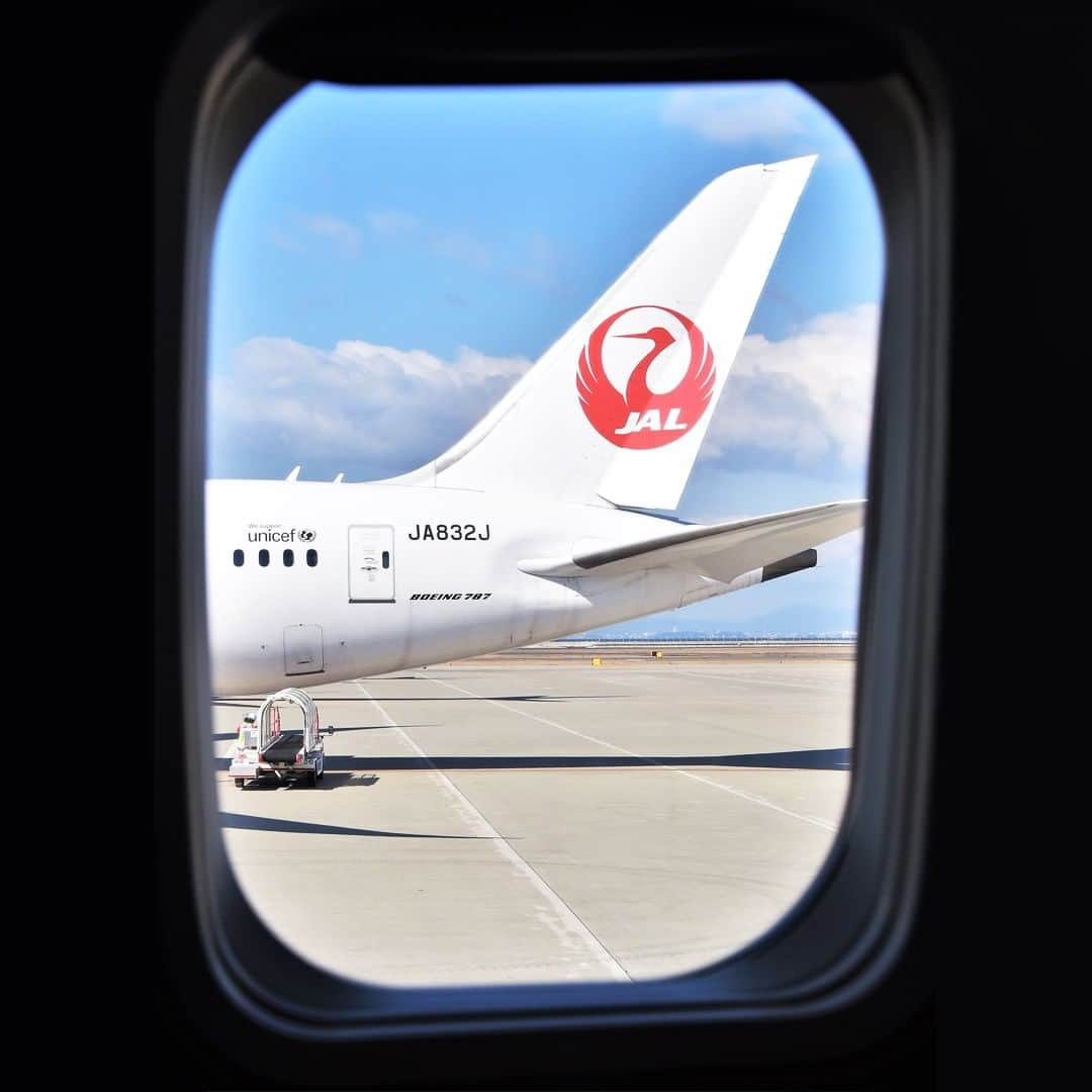 JALさんのインスタグラム写真 - (JALInstagram)「. A quiet nap? Taking in the scenery outside? 👀  Please share with us how you like to spend your flights. #SeptemberMyWay  ぐっすり睡眠？外の景色に夢中？💭 みなさんのおすすめの機内での過ごし方を教えてください✈︎ . . Post your memories with #FlyJAL  #JapanAirlines  #travel #airplane #planeview #travelawesome」9月3日 17時30分 - japanairlines_jal