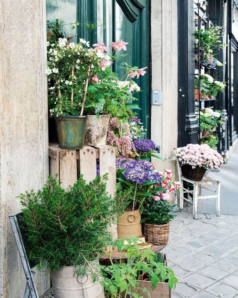 ジャマンピュエッシュのインスタグラム：「Inspiration of the day - charming Parisian flower shops  #jaminpuech #inspiration #flowers #paris #romantic #love」