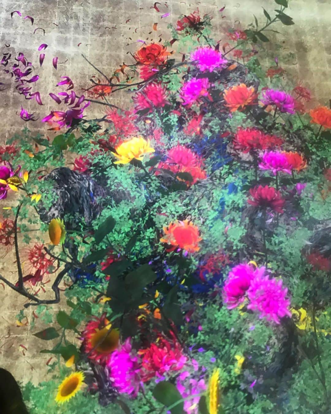 竹村優香のインスタグラム：「* アートは心の栄養😊🧡💜💛 #チームラボ #teamlab #金沢21世紀美術館  #art  #先日の休日のこと #口開きっぱなしの人🙋‍♀️」