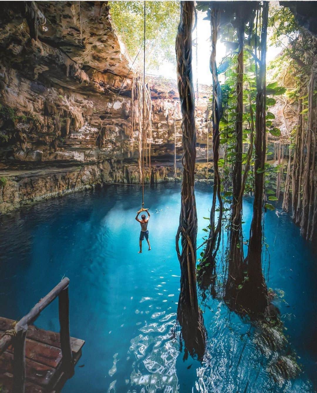 Canon Photographyさんのインスタグラム写真 - (Canon PhotographyInstagram)「Who would love to have a go on this rope swing?  Awesome shot captured by @davidmrule  Yucatan Cenote, Mexico  #cpfeatureme #cenote #mexico」9月3日 18時39分 - cpcollectives