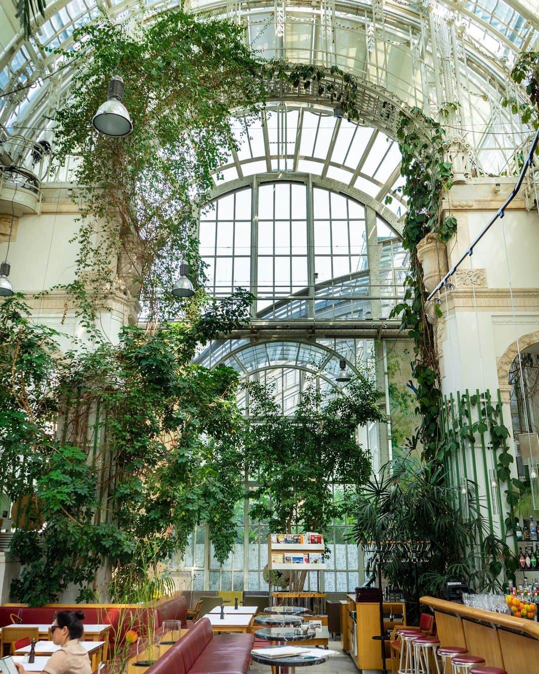 Wien | Viennaさんのインスタグラム写真 - (Wien | ViennaInstagram)「Did you watch our Story about the Palm House located at Burggarten? It’s now also now available as a Story Highlight. The Palm House is without doubt one of the most beautiful steel and glass constructions of its time and was once used by the emperor as a place for relaxation and entertainment. 🌱🍹#ViennaNow」9月3日 19時00分 - viennatouristboard