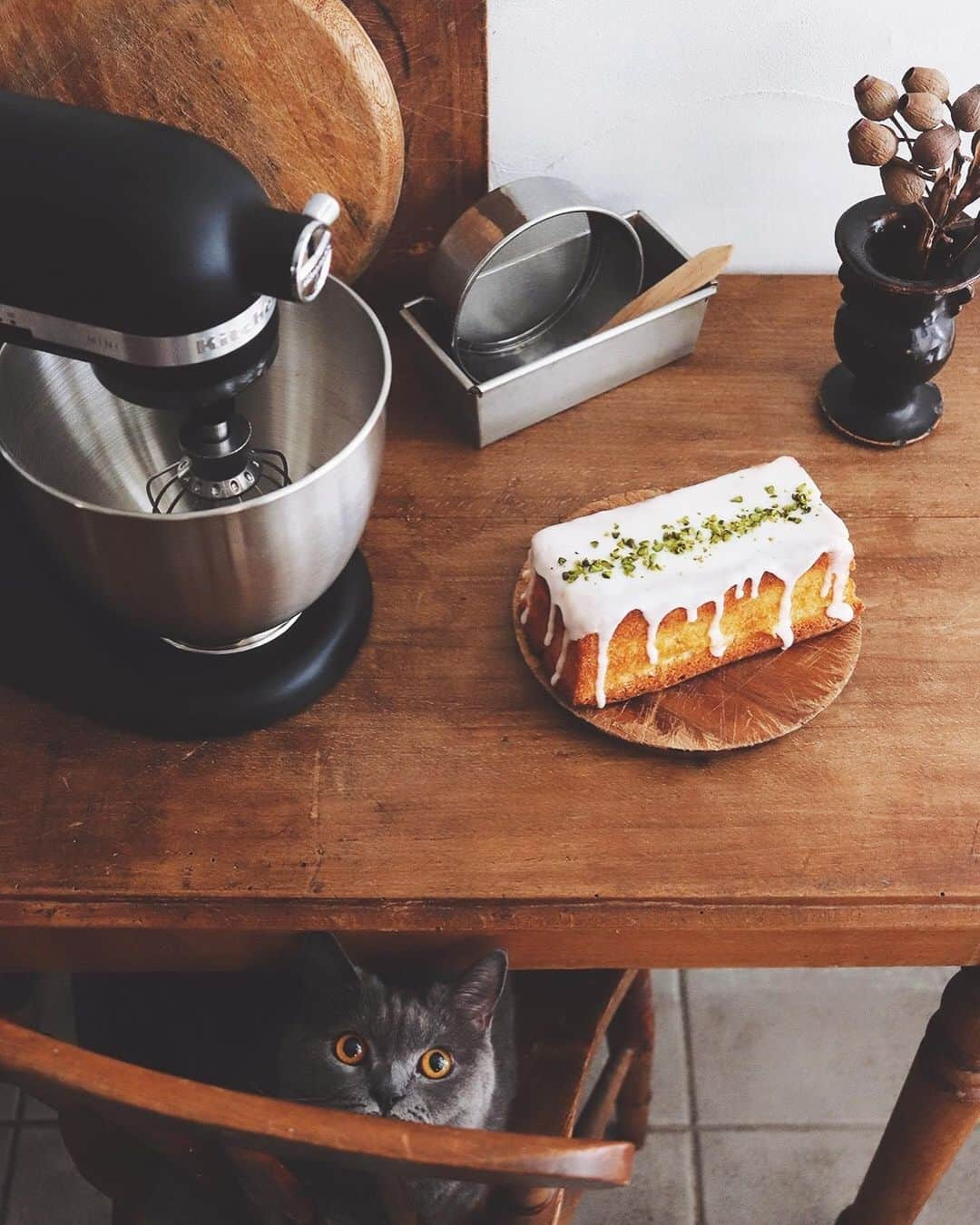 樋口正樹さんのインスタグラム写真 - (樋口正樹Instagram)「weekend citron 🍋 . ケーキ焼きました、 ウィークエンドシトロン、 週末じゃないけど。 . メレンゲ立てたり 生地を混ぜたりと お菓子を作るのに あると断然便利な キッチンエイドの スタンドミキサー。 今ウチ２台持ちで さすがに便利です。 マットブラックの 小さめのサイズは 静粛性にも優れて、 軽く扱いやすくて 家庭向きでお勧め。 @kitchenaidjapan . ちなみに、 静粛性も安定感も 扱いやすさだって ボナさん優等生よ。 . . #ウィークエンドシトロン #パウンドケーキ #手作りケーキ #おやつとボナさん #キッチンエイド #スタンドミキサー #まぜまぜ #しっとり #なめらか #パワフル #便利でらくちん #大家族におすすめ #お菓子作り #あると便利 #料理好きな人と繋がりたい #猫の手も借りたい #kitchenaid #kitchenaidjapan #weekendcitron #homemadecake #poundcake #212キッチンストア @kitchenaidusa」9月3日 19時29分 - higuccini