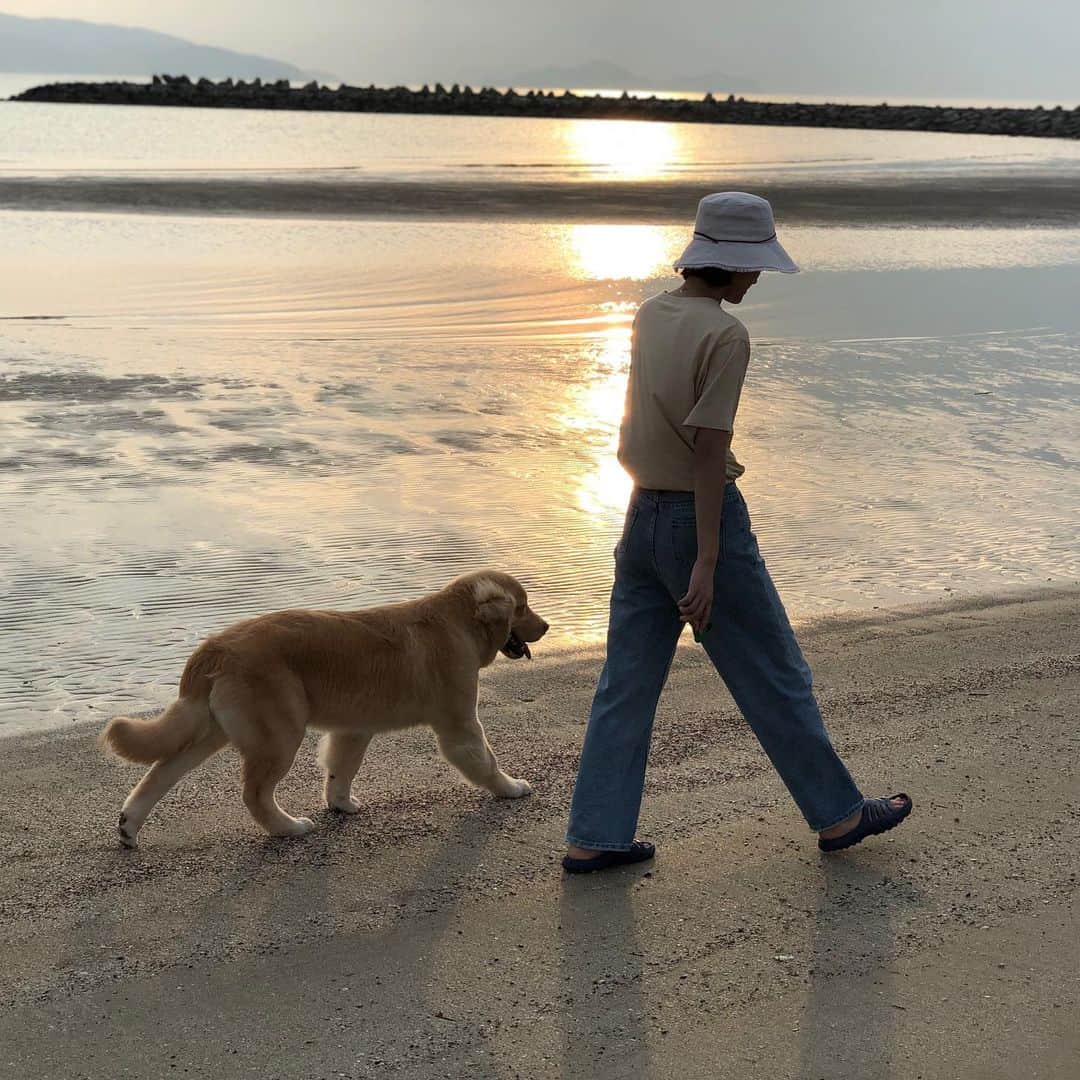 今田美奈さんのインスタグラム写真 - (今田美奈Instagram)「ベイくんと初めての海🐶 砂浜で夕方のお散歩しました🐾 暑くなくて気持ちよかった 夕陽がきれいでした：） . #ゴールデンレトリバー #犬のいる暮らし  #goldenretriever  #골든리트리버」9月3日 19時34分 - _minaimd.j_