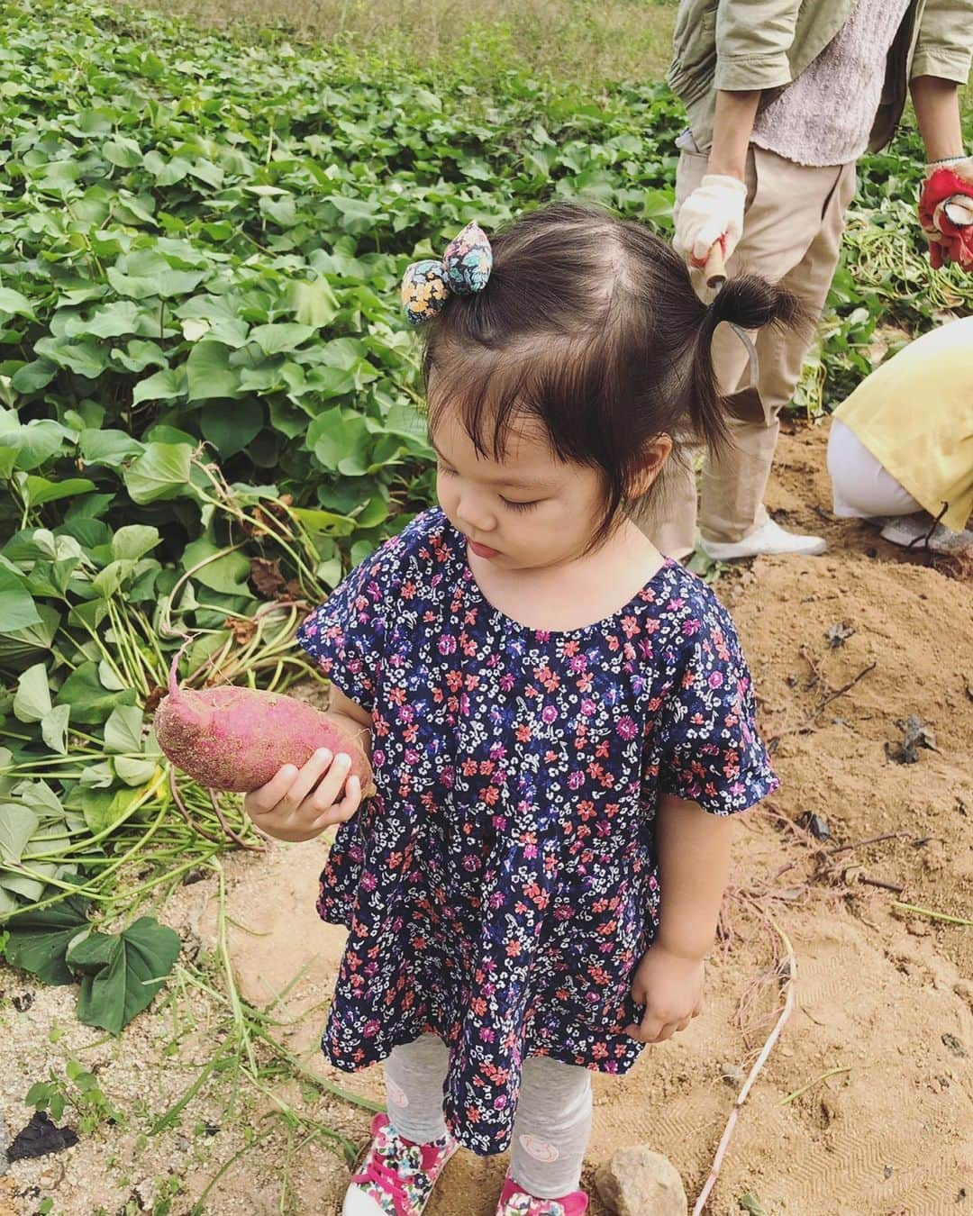 秋葉里枝さんのインスタグラム写真 - (秋葉里枝Instagram)「🍠🍠🍠 알차게 지낸 하루였어요~~ 充実した一日。 - 따뜻한 마음으로 준비해주신 새마을직원분들 진심으로 감사합니다😉❤️ #포천숯골마을 #용산구다문화가족행사 #多文化家族イベント」9月3日 19時37分 - rie_akiba