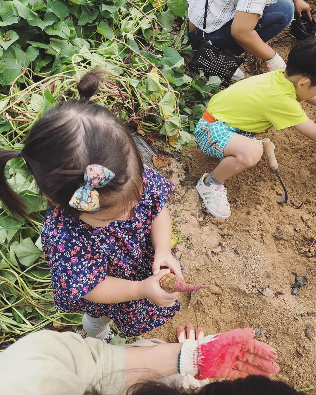 秋葉里枝さんのインスタグラム写真 - (秋葉里枝Instagram)「🍠🍠🍠 알차게 지낸 하루였어요~~ 充実した一日。 - 따뜻한 마음으로 준비해주신 새마을직원분들 진심으로 감사합니다😉❤️ #포천숯골마을 #용산구다문화가족행사 #多文化家族イベント」9月3日 19時37分 - rie_akiba