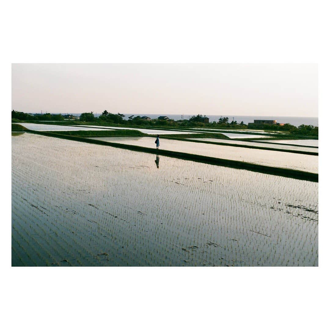 yamatoのグルメインスタ