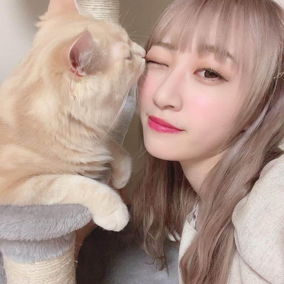 さぁやさんのインスタグラム写真 - (さぁやInstagram)「あるるるぅーーー❤️❤️❤️ #なかよし #ねこ #サイベリアン #猫」9月3日 20時00分 - saaya831