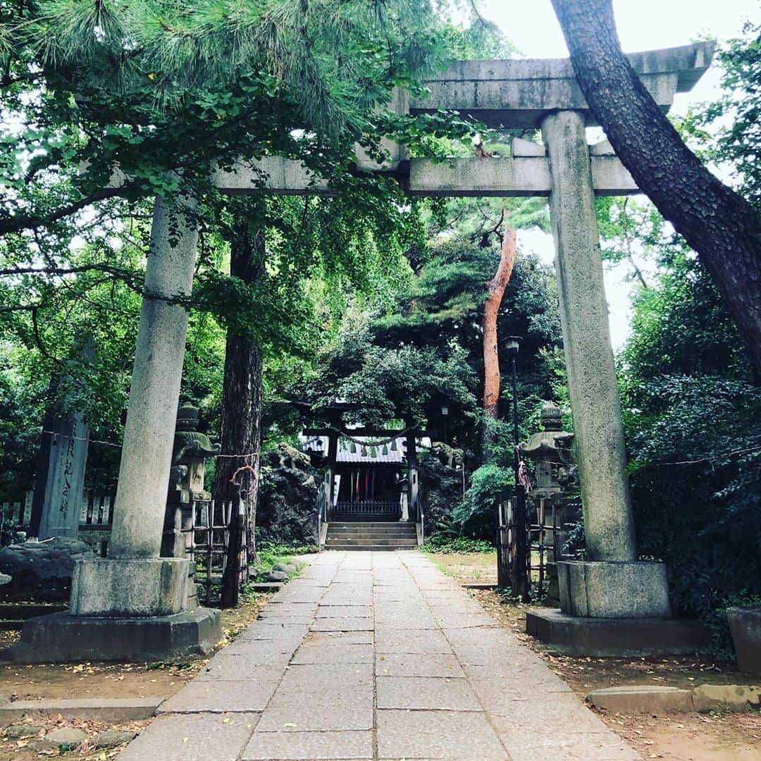 久保ミツロウのインスタグラム：「蚊🦟に11箇所刺されて死ぬかと思いました⛩」