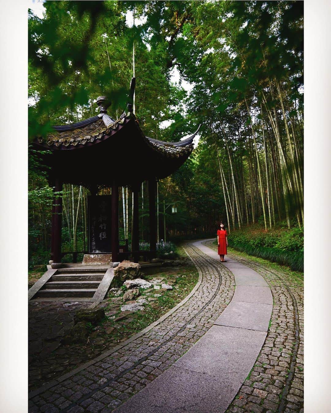 Koichiのインスタグラム：「. . When wrapped in silence . . @visit_hangzhou #杭州に出逢う #杭州 #hangzhou #visithangzhou #云栖竹径 #雲棲竹径 .」