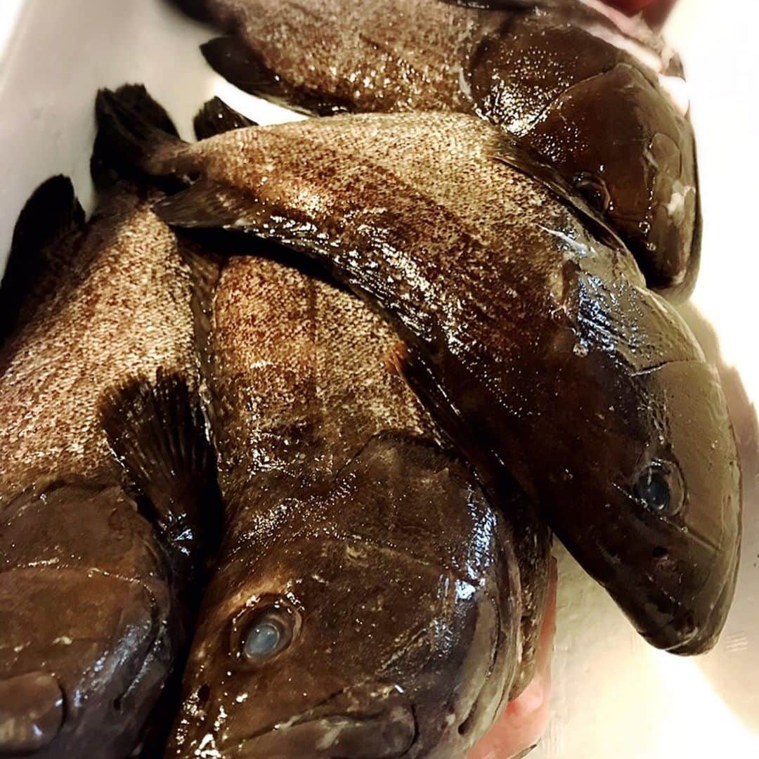 香港海鮮酒家 Lei U Munのグルメインスタ