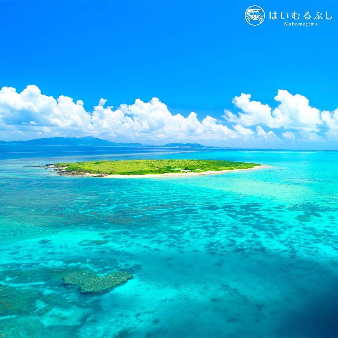 HAIMURUBUSHI はいむるぶしさんのインスタグラム写真 - (HAIMURUBUSHI はいむるぶしInstagram)「小浜島の北東2kmに位置する無人島「カヤマ島」。海岸線長2.5km、最高標高19mの小さな島には数百匹の野ウサギが棲んでいます。 #沖縄 #八重山諸島 #カヤマ島 #無人島 #ウサギ #サンゴ礁 #小浜島 #リゾート #ホテル #はいむるぶし #japan #okinawa #yaeyamaislands #kayamajima #bluesea #coral #kohamajima #beachresort #haimurubushi」9月3日 20時29分 - haimurubushi_resorts