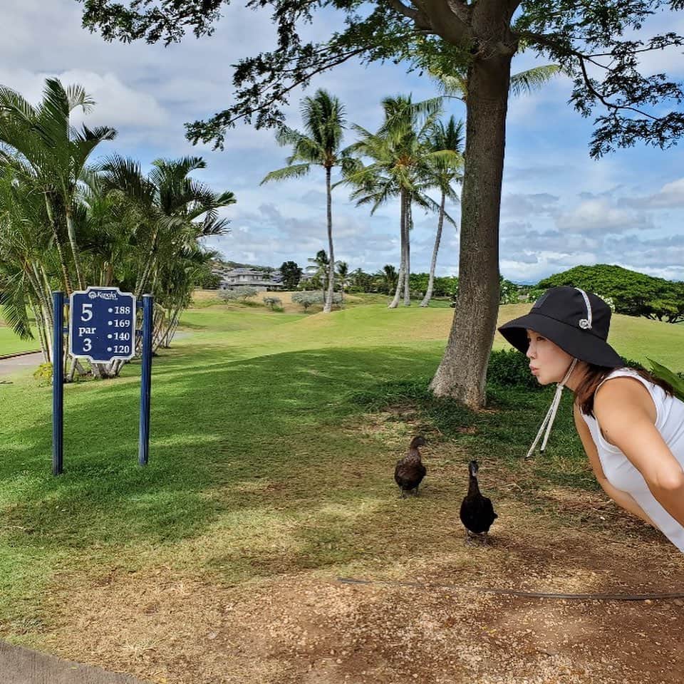 キム・ジョンウンさんのインスタグラム写真 - (キム・ジョンウンInstagram)「Bye~Hawaii!!!마지막날 괜찮은 와인찾음!#emmolo#여름휴가 끝😊」9月4日 7時46分 - chocolatecat9