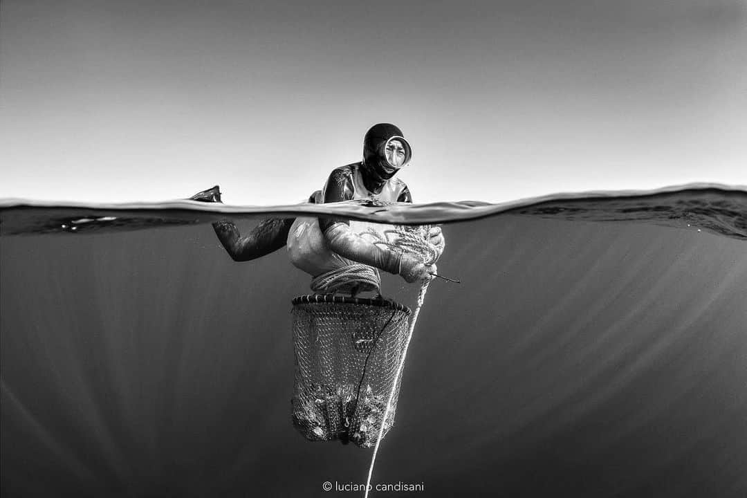 thephotosocietyさんのインスタグラム写真 - (thephotosocietyInstagram)「Photo by @lucianocandisani (Luciano Candisani). This picture of a 79 years old lady working in the sea is part of my exhibition "Haenyeo: Women of the Sea”, . It has opened on August 31th and will rum up to October 13 in the prestigious MIS (Sound and Image Museum), São Paulo, Brazil.  It’s about the women divers of Jeju island, South Korea, a 400 years old cultural tradition of sustainable extractivism included in the UNESCO list of Humanity intangible cultural heritage. Most of the 4500 remaining Haenyeo are between 65 and 90 years old that still free dive up to 15 meters below the surface to gather seafood. This is a project with @vento.leste (editora Vento Leste) , @mis_sp ( MIS ) and @ateliermarkobrajovic ( Marko Brajovic ). @natgeo @#lucianocandisani #candisani #haenyeo #divers#brazil #underwaterphotography #photography #wildlife #southkorea #jeju #jejuisland #culture @lensculture #photography #blackandwhitephotography」9月4日 8時06分 - thephotosociety