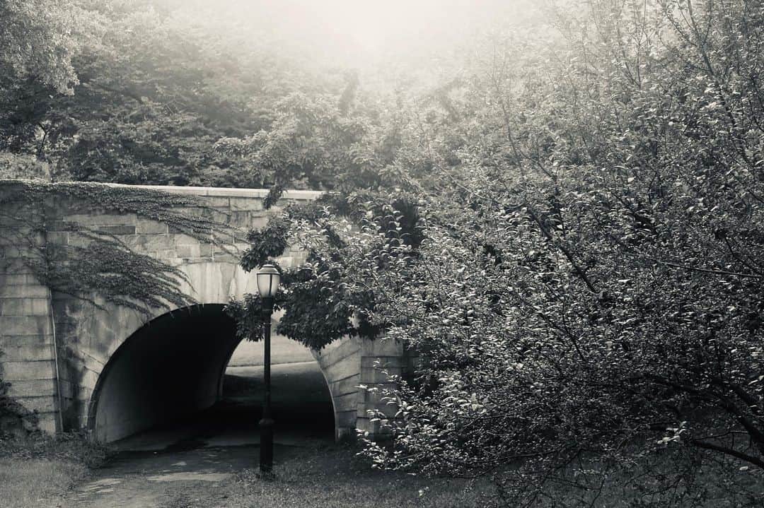 ケイティ・ホームズさんのインスタグラム写真 - (ケイティ・ホームズInstagram)「☀️ #riversidepark 📸by me ❤️」9月4日 8時27分 - katieholmes