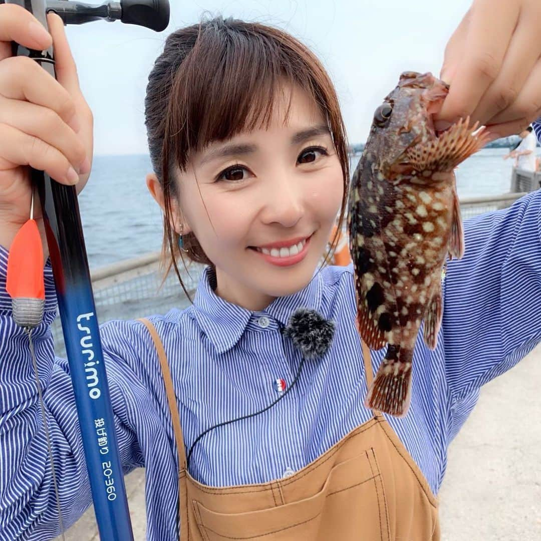 井上直美さんのインスタグラム写真 - (井上直美Instagram)「久々に海づり公園に行ってきたよー！1日遊べてほのぼの♪あの空間けっこう好き❤️動画もあるので良かったらみてねん！ https://youtu.be/QKWKwO1gB9w  #釣り  #釣りガール  #海づり公園  #本牧海釣り施設  #カサゴ  #釣れ方が凄かったw  #なおちん超必死w  #ツリモ  #tsurimo  #アルファタックル」9月4日 0時13分 - naochingyo