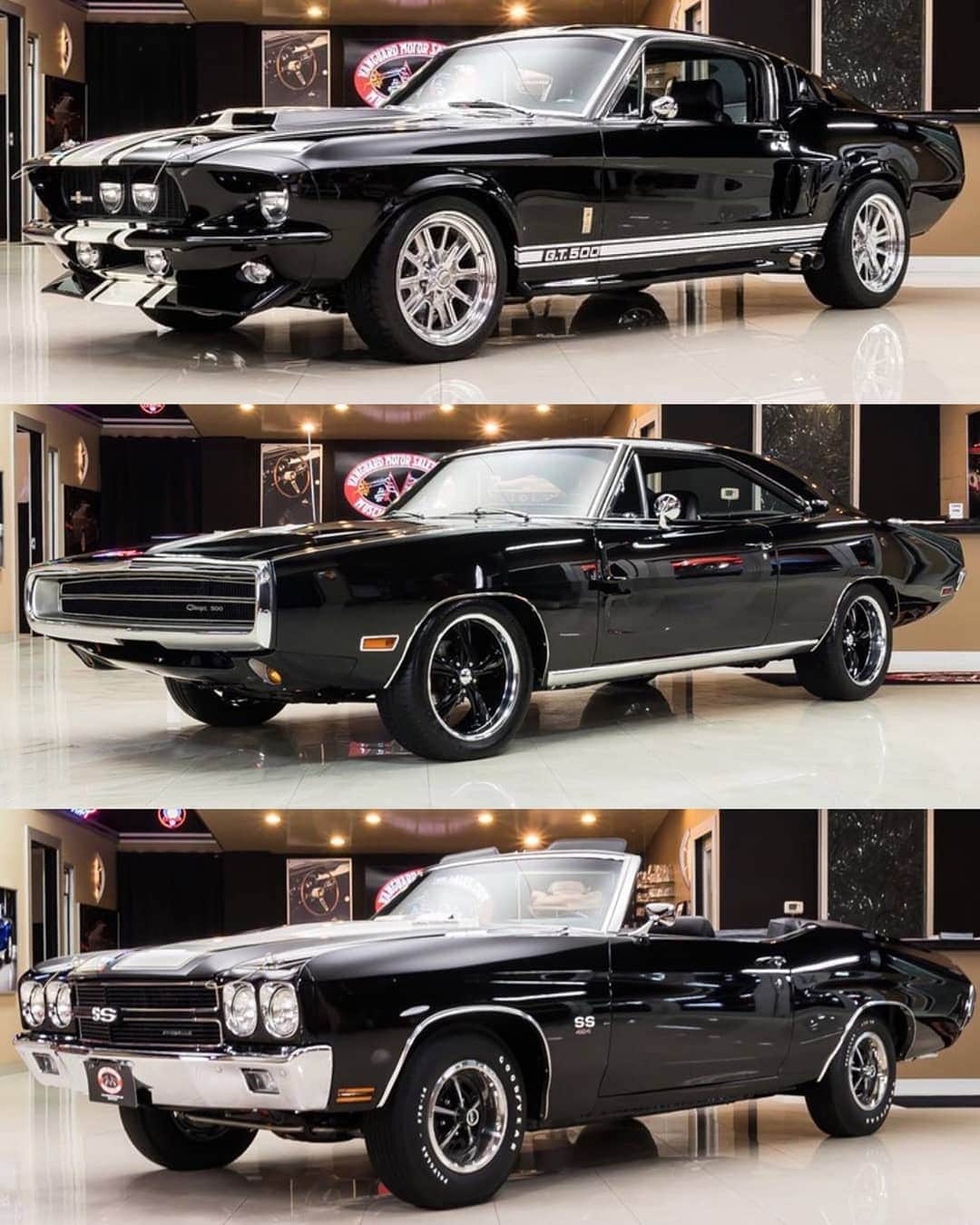 Classics Dailyさんのインスタグラム写真 - (Classics DailyInstagram)「Top middle or bottom!? _ Photo | @vanguardmotors #shelby #ford #dodge #charger #chevrolet #chevelle #musclecar #hotrod  #restomod #classicsdaily #streetrod #protouring #streetcar #customcar #prostreet  #hotrods #classiccars #customcars #musclecars #americanmusclecars #hotrodsandmusclecars #americanmuscle  #classicmuscle」9月4日 0時15分 - classicsdaily