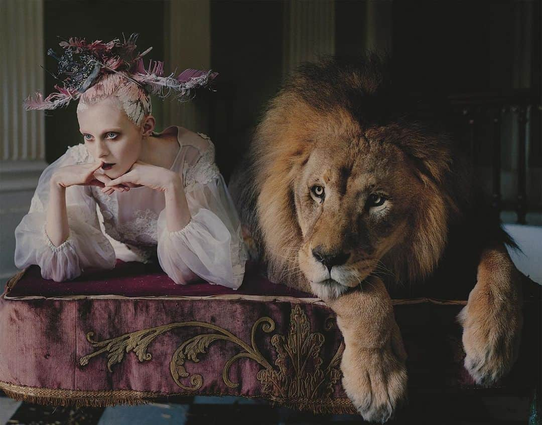 AnOther Magazineさんのインスタグラム写真 - (AnOther MagazineInstagram)「@misskarenelson and Atlas the lion by Tim Walker, 2013 ✨⁠⠀ ⁠⠀ The image-maker is releasing a fantastical new book which celebrates the darker side of his transporting work, entitled Shoot for the Moon. The monograph acts as a companion of sorts to next month’s @vamuseum exhibition Tim Walker: Wonderful Things, which is set to be his largest exhibition to date⁠. Walker will be signing copies of Shoot for the Moon this Thursday at @doverstreetmarketlondon ➡️⁠⠀ ⁠⠀ See more from the book at the link in our bio 📲」9月4日 0時18分 - anothermagazine