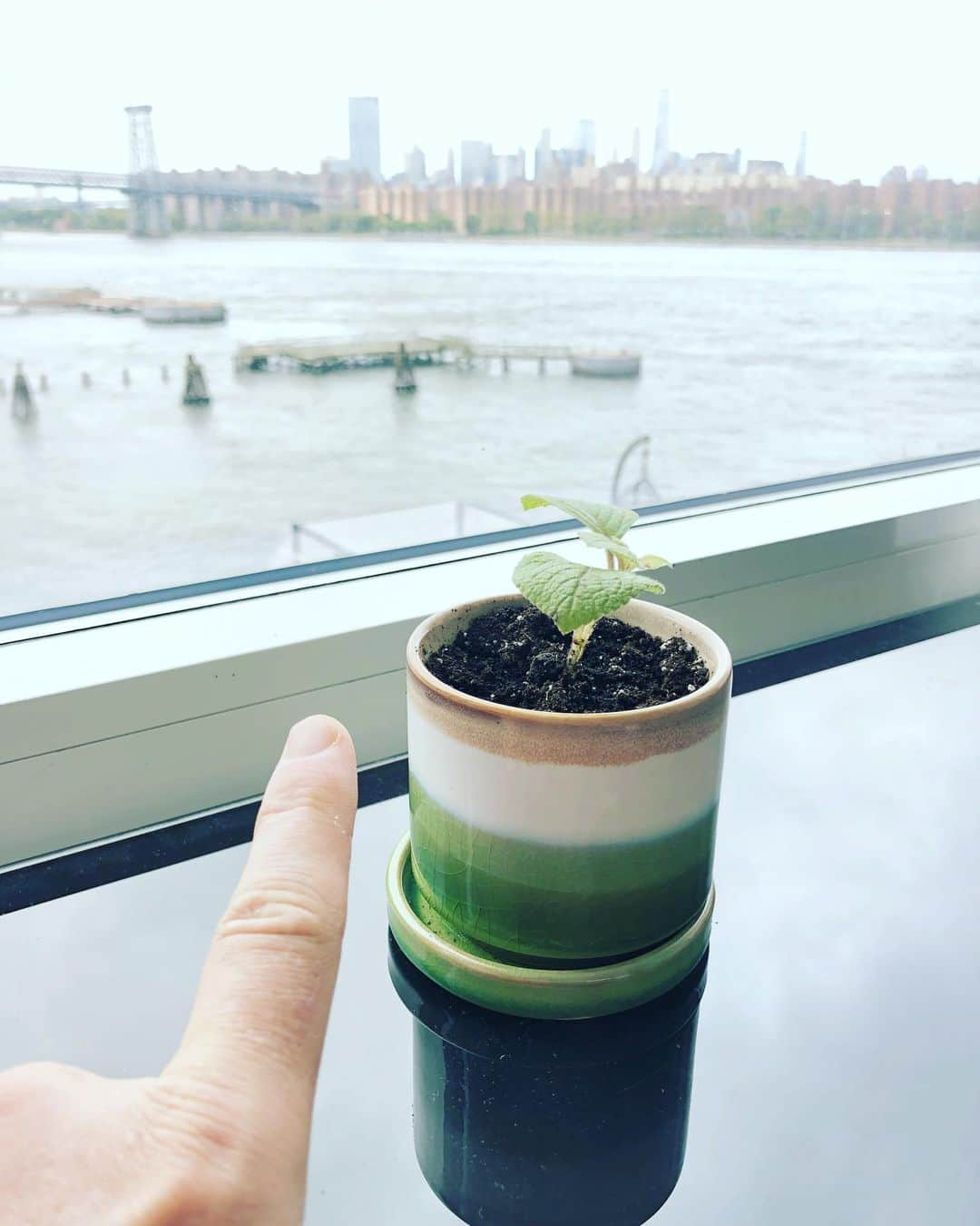 ケラン・ラッツさんのインスタグラム写真 - (ケラン・ラッツInstagram)「I am a HOR·TI·CUL·TUR·IST🌱  This weeks craft 🙌  We needed some Green in our pad. ( @brittanylynnlutz and I have a competition who can keep theirs alive the longest! Take your bets 😇)」9月4日 0時48分 - kellanlutz