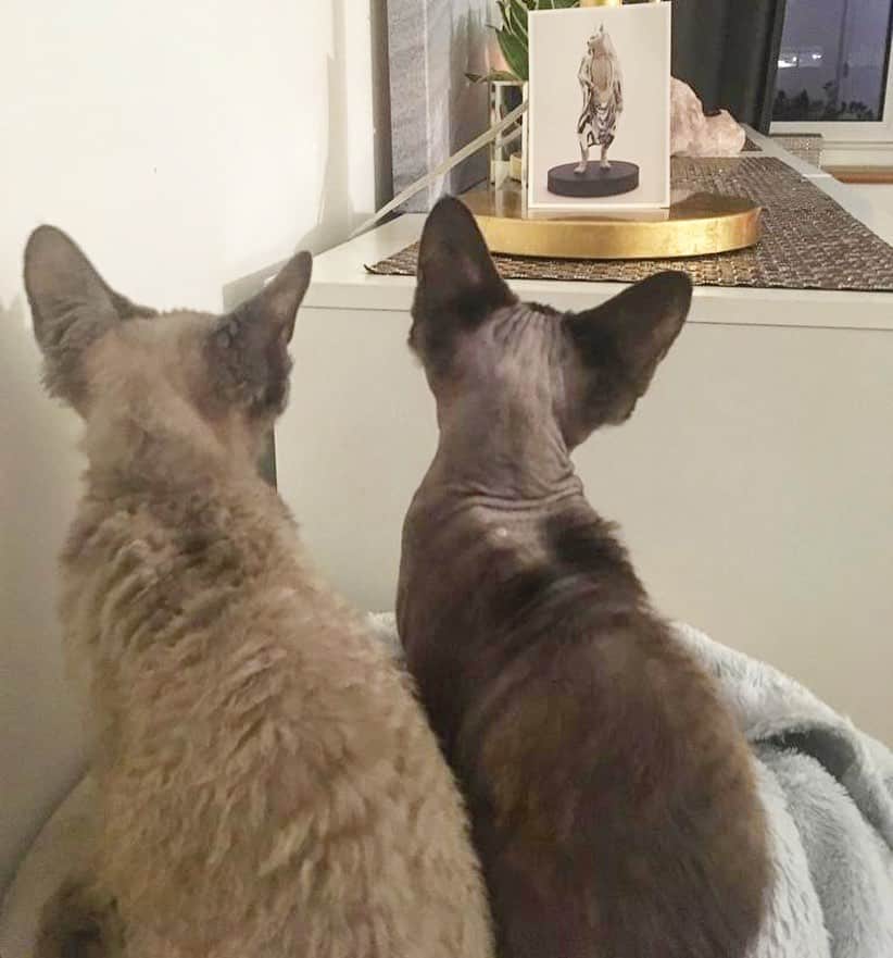 ヴラダ・ロスリャコヴァのインスタグラム：「It’s hard to lose both of them, specially in such short period of time, but I know they’re now in Heaven, together again like it meant to be. 🙏🙏 🙏🙏🙏🙏🙏🙏🙏🙏 🙏В голове слова из песни «опустела без тебя Земля...» Какая интересная штука жизнь... и ведь она идёт рука об руку со смертью, и ничего с этим не поделаешь, просто принять и осознать... сегодня осознаю это опять... дарите свою любовь, не скупитесь, хотя все равно в конце пути кажется, что можно было быть гораздо щедрее... а как?  September 3rd, 2019 #харизмочка」