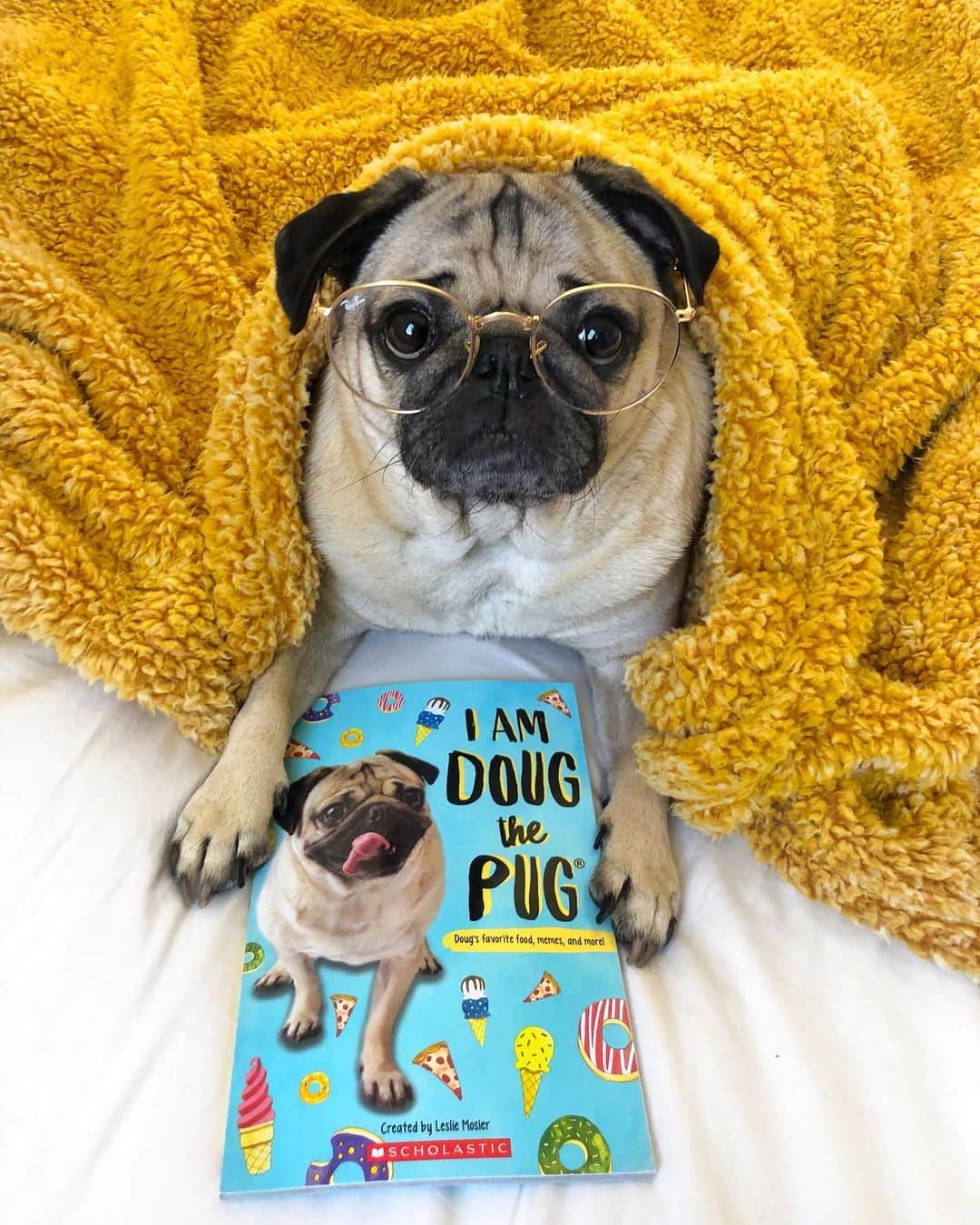 itsdougthepugさんのインスタグラム写真 - (itsdougthepugInstagram)「SURPRISE!!! My brand new book with @scholasticinc just came out and will be in ALL school book fairs nationwide this year! It is also in the book club flyer. My puggy dreams came true! U can also get the book on Amazon, link in bio 💛」9月4日 1時36分 - itsdougthepug