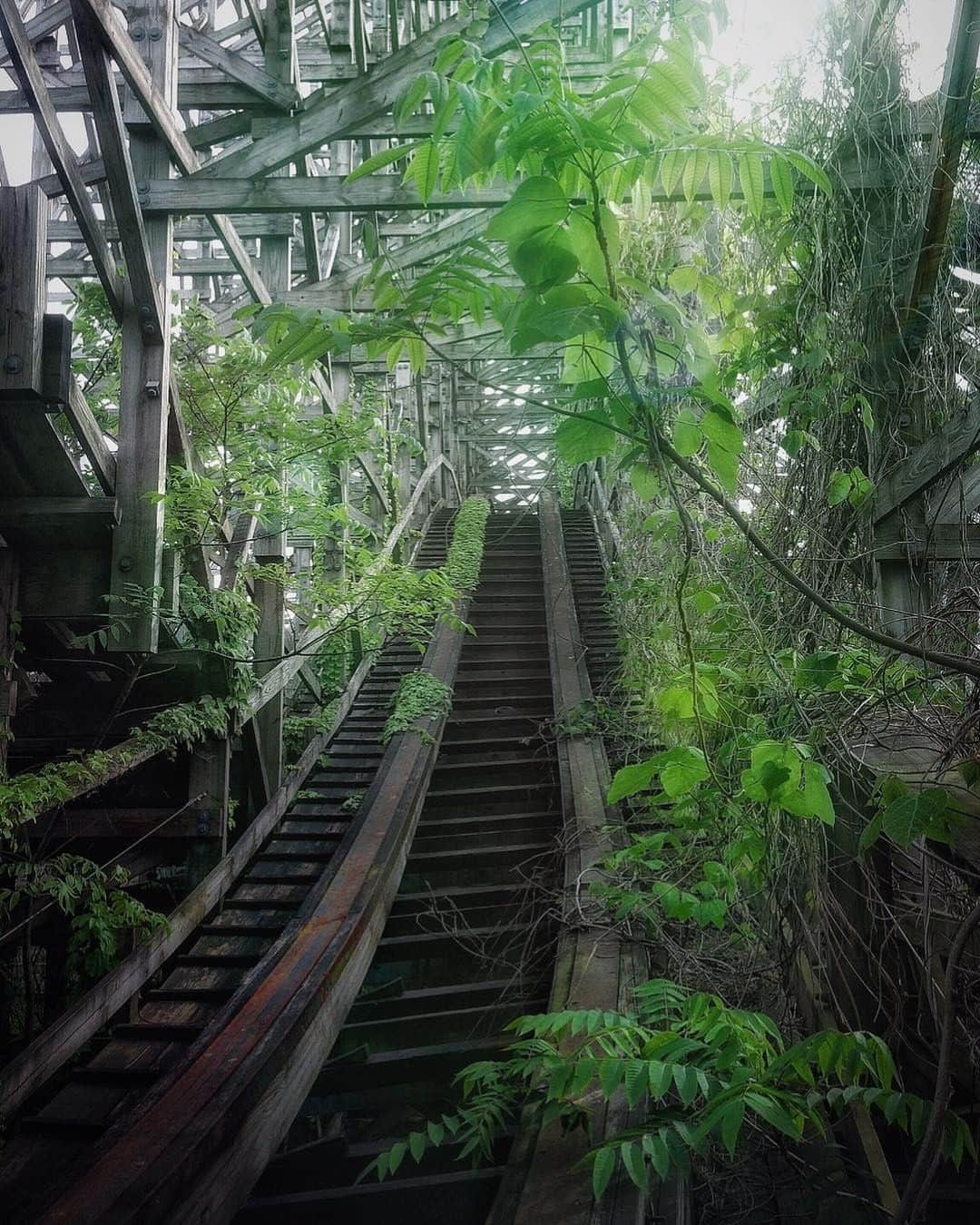 Abandoned Placesさんのインスタグラム写真 - (Abandoned PlacesInstagram)「Overgrown roller coaster by @saltybarbara」9月4日 2時06分 - itsabandoned