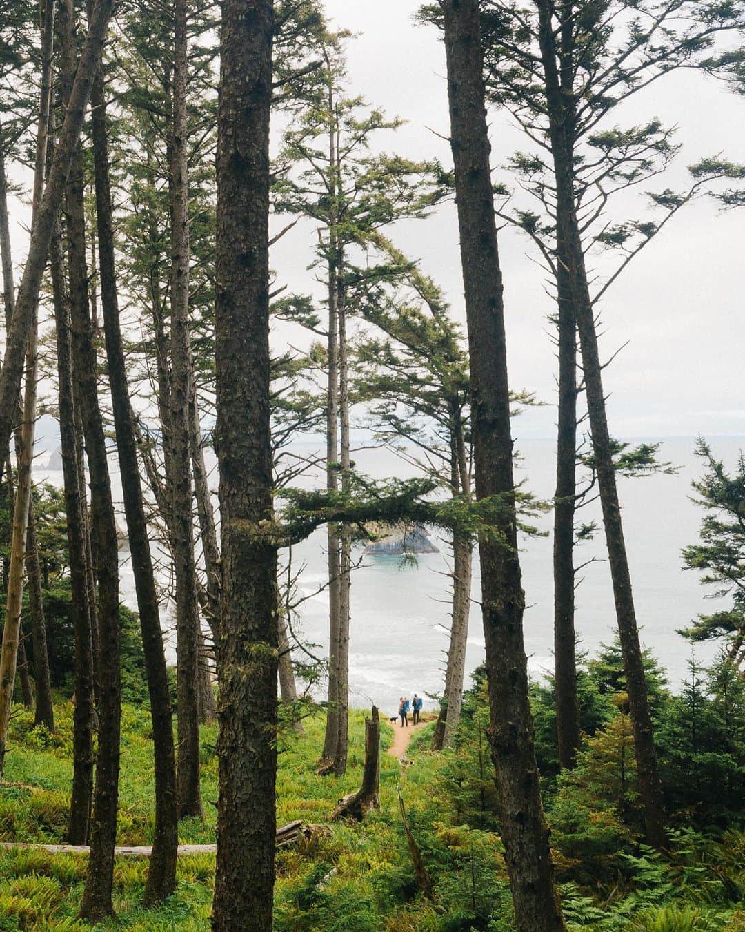 Suuntoさんのインスタグラム写真 - (SuuntoInstagram)「Where do your outdoor adventures take you? 🏕⁠⠀ Photographer @real_rastivo recently spent a weekend with friends and family in Ecola State Park in Oregon.⁠⠀ ⁠⠀ "I first experienced the Oregon coast in 2005 and I'm always delighted to return there. The coast is known for its beautiful nature and rugged scenery, and there's enough to see and explore for several days!"⁠⠀ ⁠⠀ Have you been there?⁠⠀ ⁠⠀ 📸 @real_rastivo⁠⠀ #suunto #suunto9 #ecolastatepark #oregoncoast ⁠⠀」9月4日 2時15分 - suunto