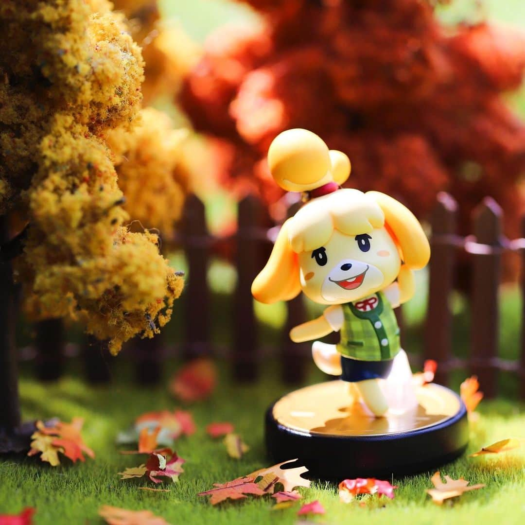 任天堂アメリカさんのインスタグラム写真 - (任天堂アメリカInstagram)「Isabelle would just like to remind all the Mayors out there to soak up as much sunlight as they can before summer is over!🍁」9月4日 2時30分 - nintendoamerica