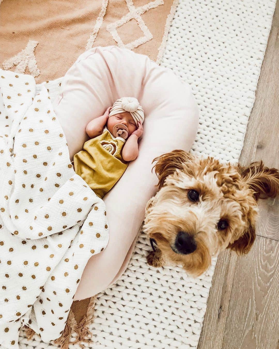 Aspyn Ovard Ferrisさんのインスタグラム写真 - (Aspyn Ovard FerrisInstagram)「GIVEAWAY TIME! 🌟 So so excited to be giving away 5 of these organic baby loungers!! We put Cove in this all the time when we need to lay her down but still want her to feel comfortable and content 💕 To enter, follow me @aspynovard and @snuggle_me_organic, and tag a friend in the comments! You can also use code ASPYN25 for 25% off anything on their site!! #ad WINNERS: @janananic @emilyarittenhouse @sweetie.py @jan.dow @destinybrookee」9月4日 3時56分 - aspynovard