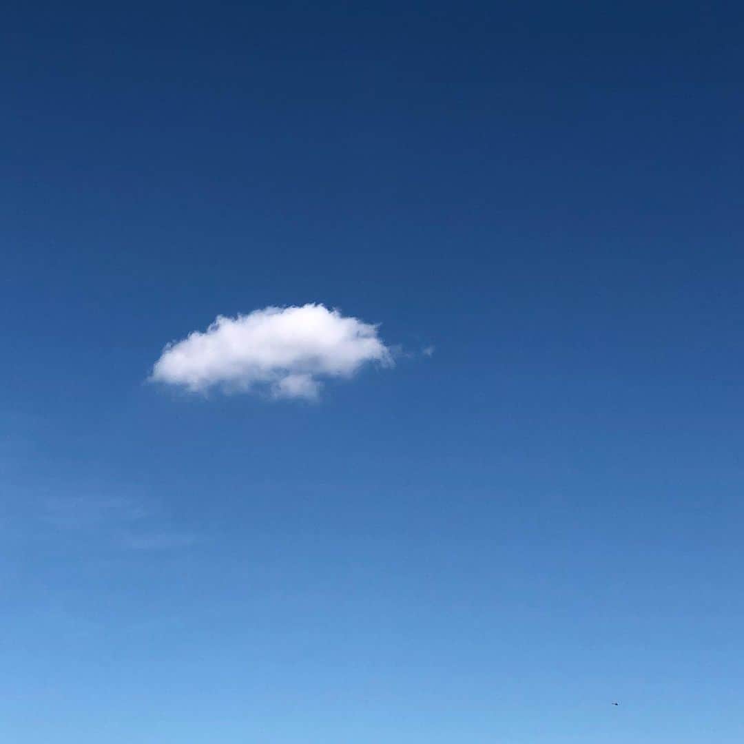 オノ・ヨーコのインスタグラム：「The wind is bringing the cloud to swim. yoko」