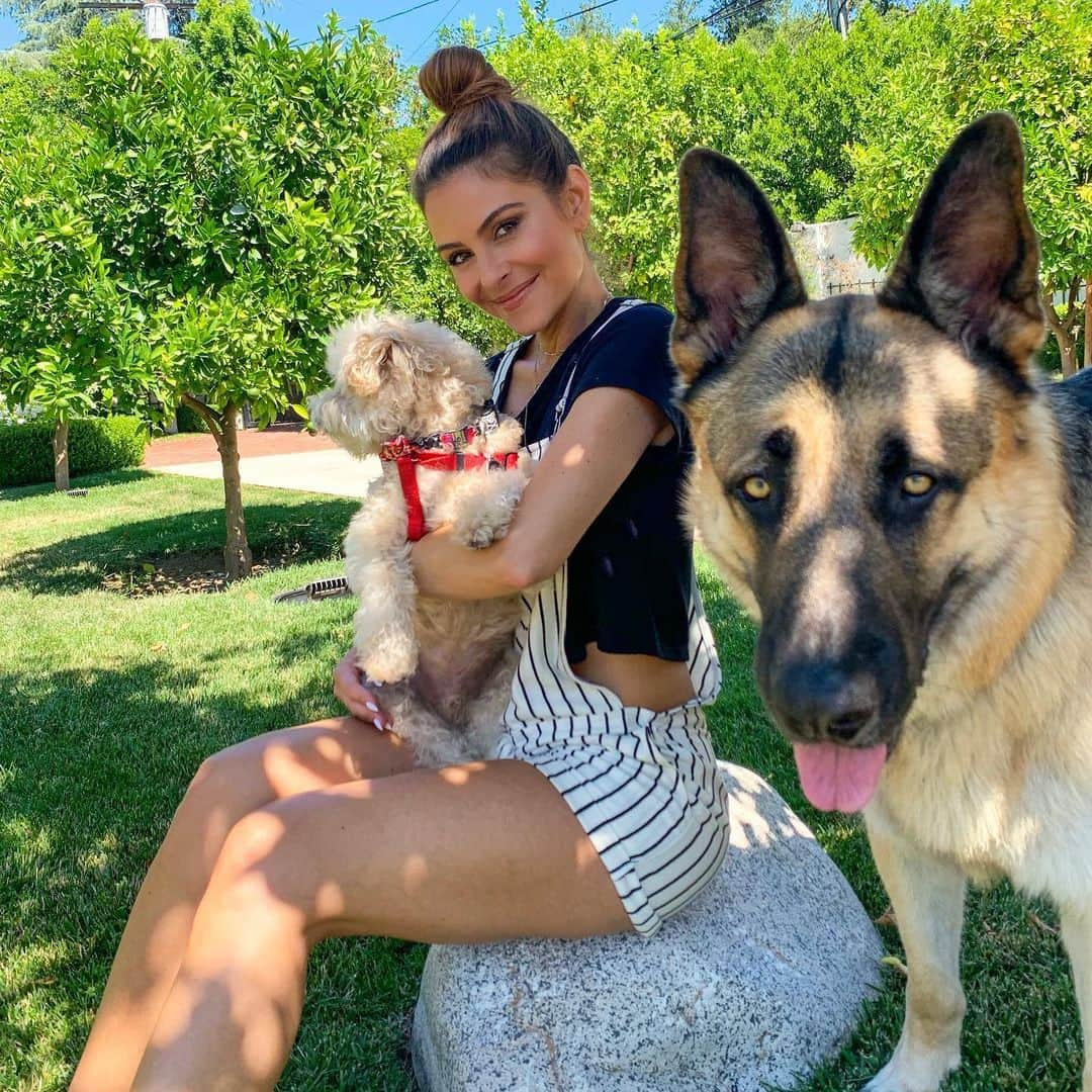 マリア・メノウノスさんのインスタグラム写真 - (マリア・メノウノスInstagram)「Finally back home with the babies. Whinnie’s somewhere off camera looking cute as usual 😍」9月4日 6時06分 - mariamenounos