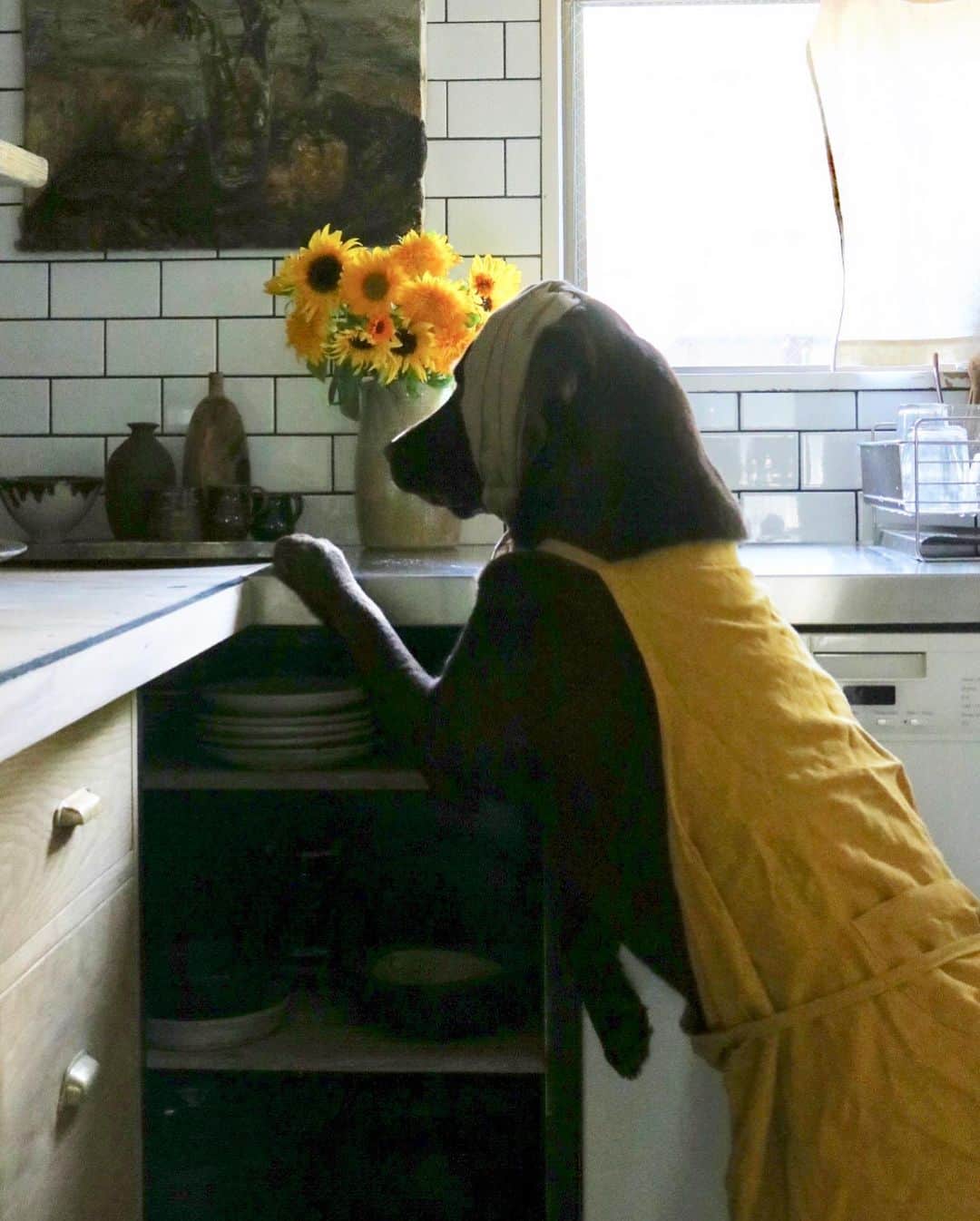 masakiさんのインスタグラム写真 - (masakiInstagram)「🌻 盆休みも働くカリスマ花生け師に久しぶりに うちに来ていただきました！ 犬係がむかーし描いた向日葵の絵とリンクさせて、 キッチンに数種類の向日葵いっぱい！ まだ妄想中のキッチンが華やかになりました♡ ありがとうございますぅー  #カリスマ花生け師」8月11日 14時59分 - mogurapicassowols